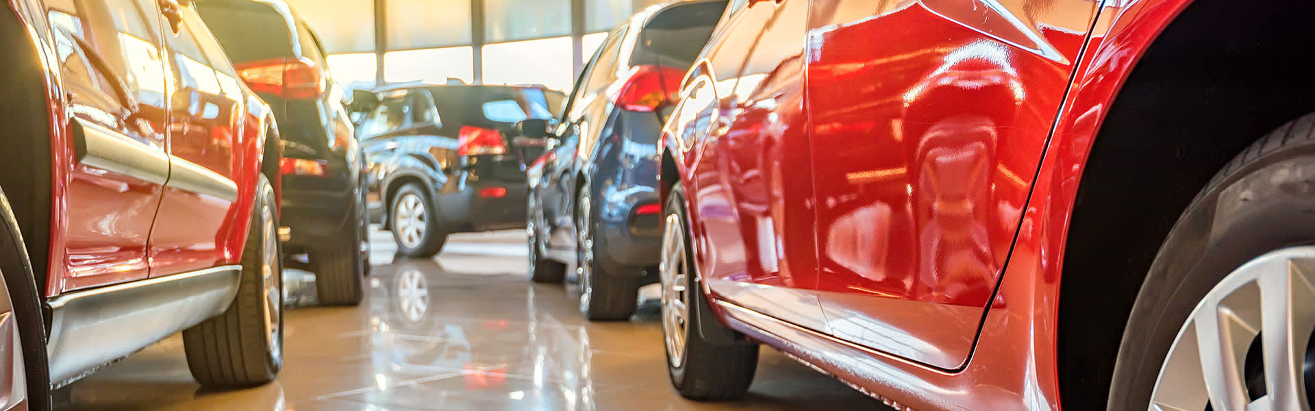 A row of cars in  a car yard