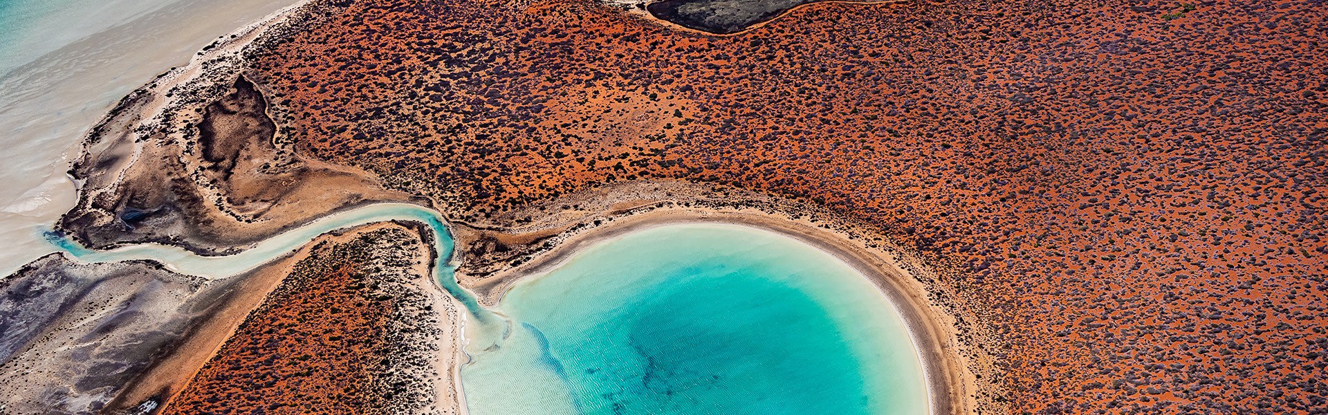 Bird's eye view of the Shark Bay Lagoon