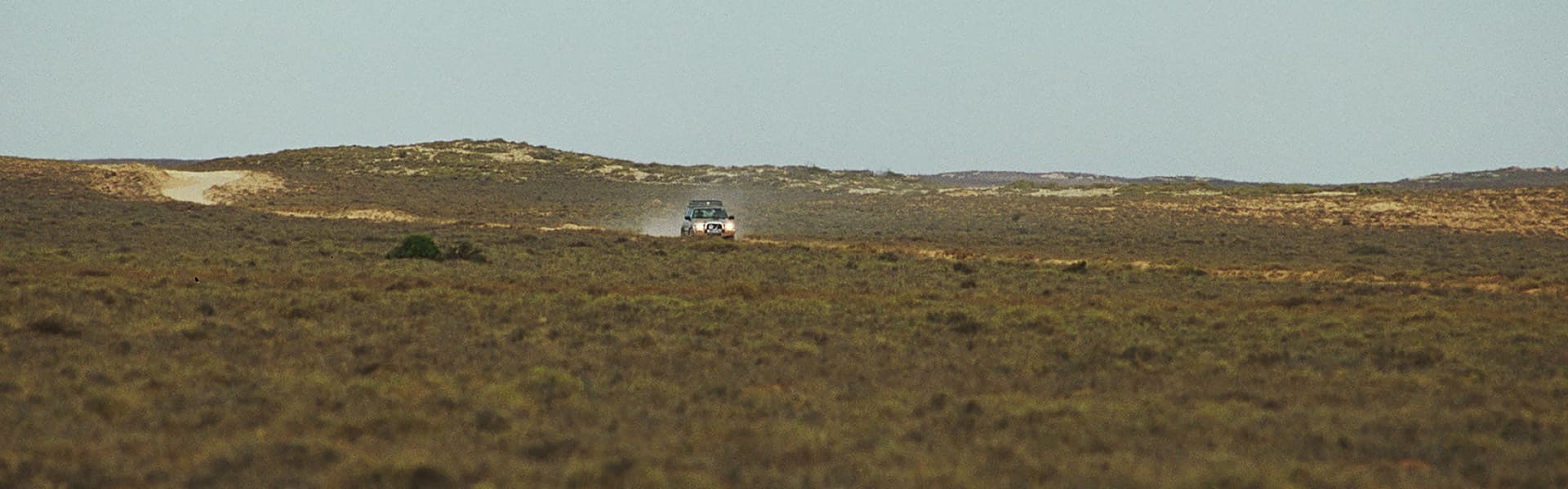 A four-wheel drive in the distance seen across low scrub