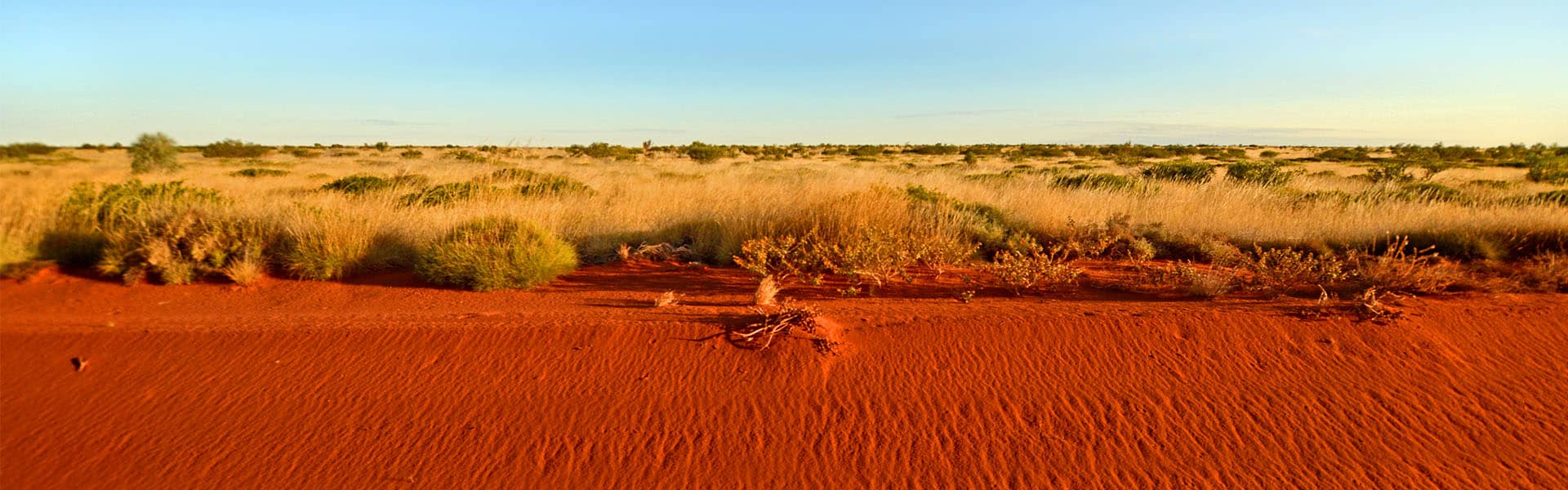 Canning Stock Route view of the desert