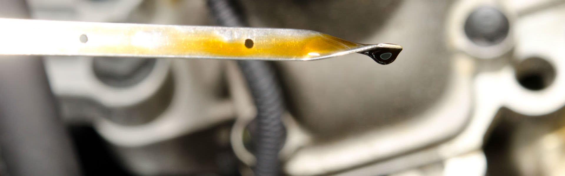 An oil dipstick indicator