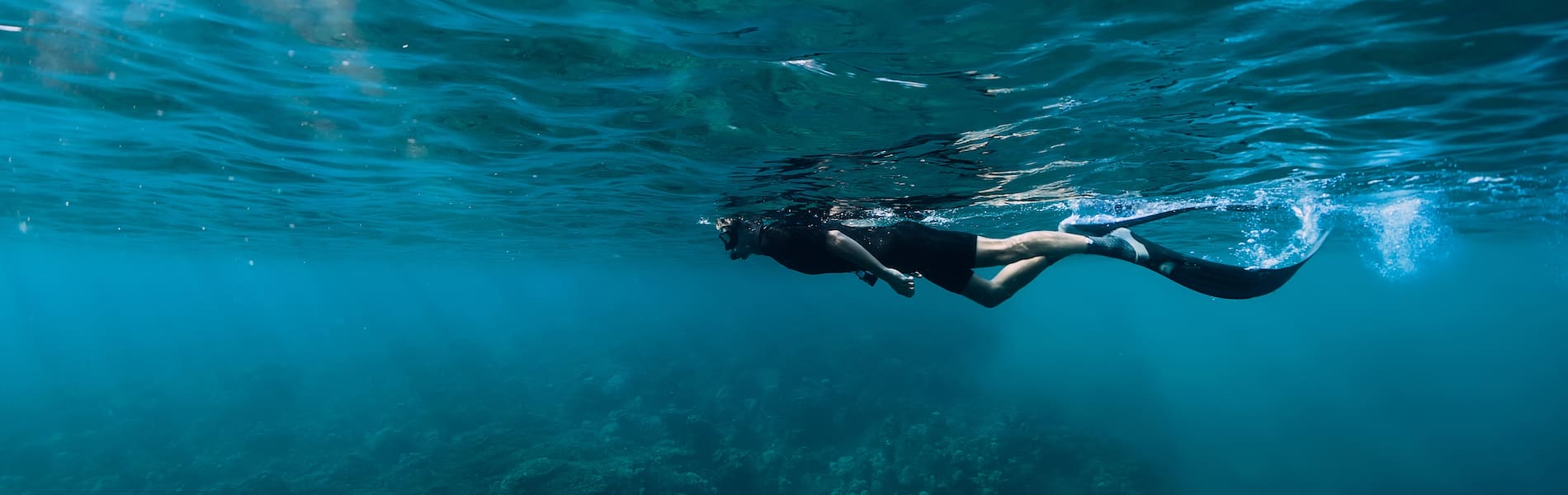 Image of snorkeller