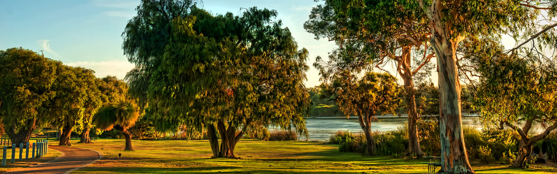 Image of Yanchep National Park