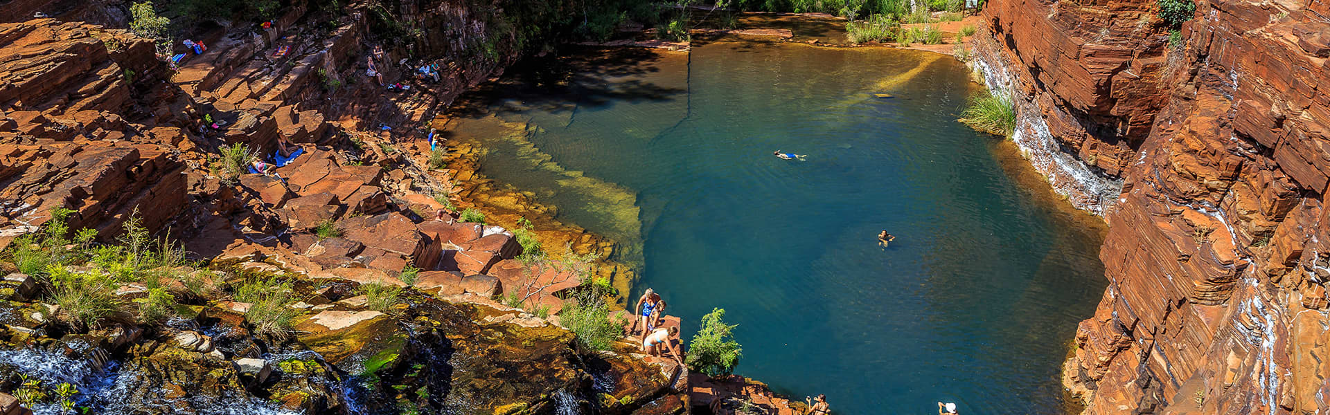 Image of people swimming
