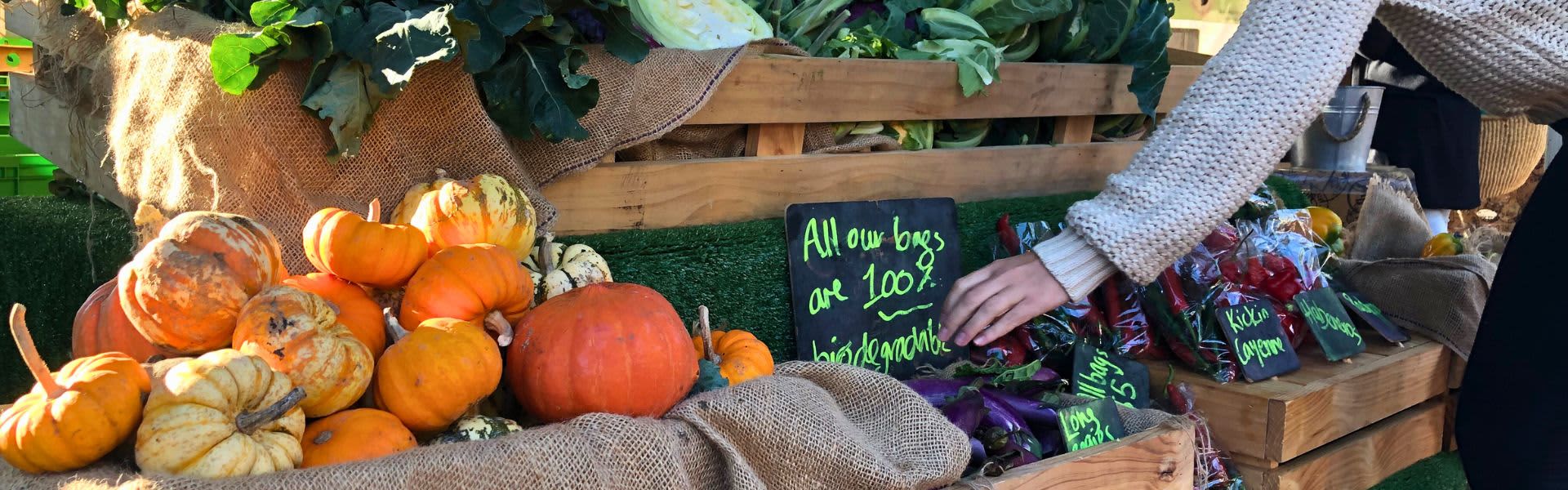 Fresh market produce with pumpkins and eggplants