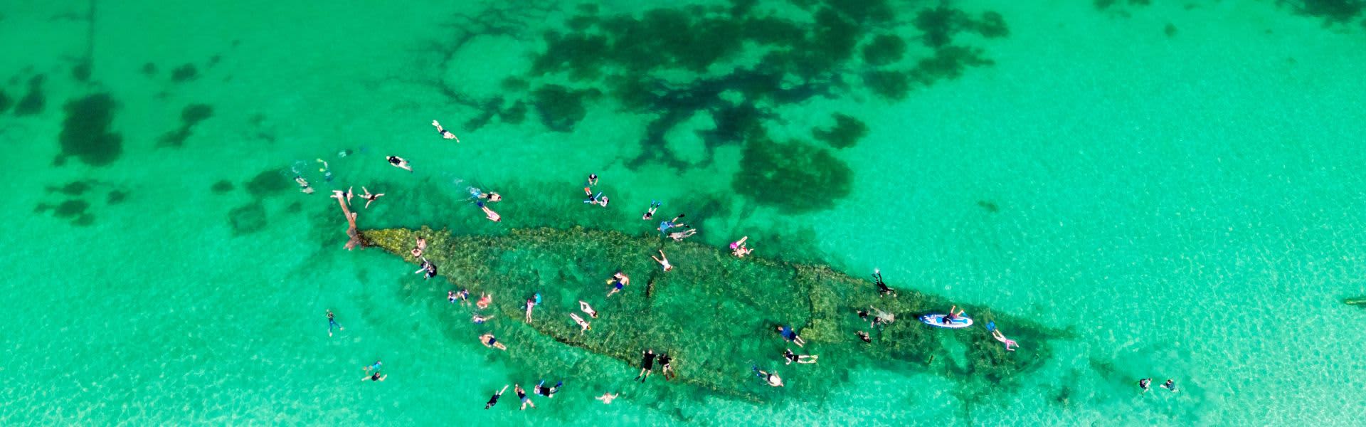 group of people snorkelling above shipwreck