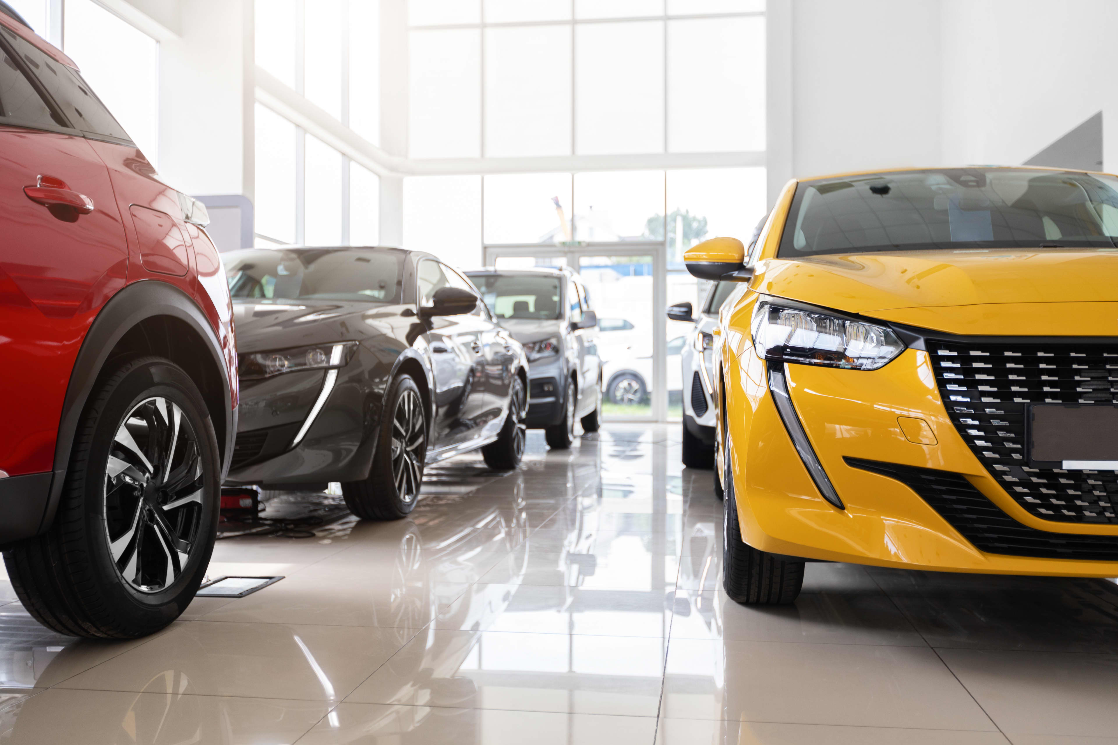 Luxury cars inside a car showroom