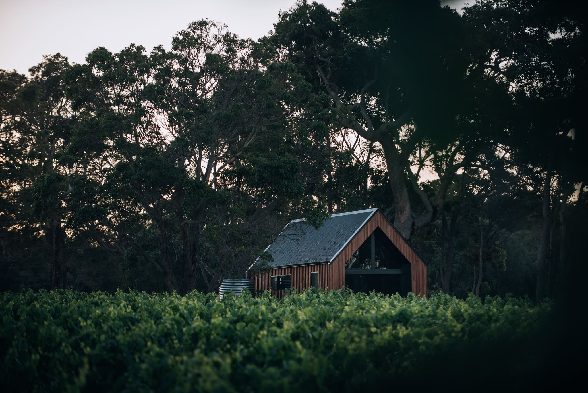 Petit Eco Cabin shown from the outside, situated in rural bushland with trees surrounding