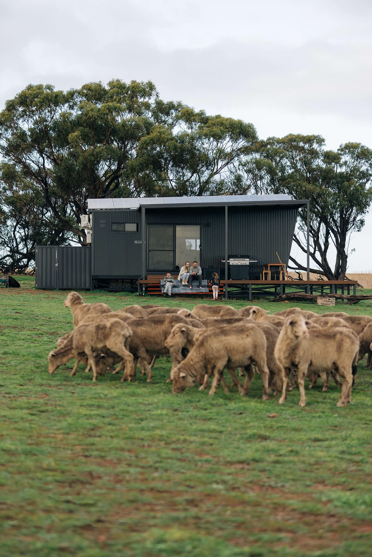 A cabin in a paddock with a family sitting on the porch observing livestock