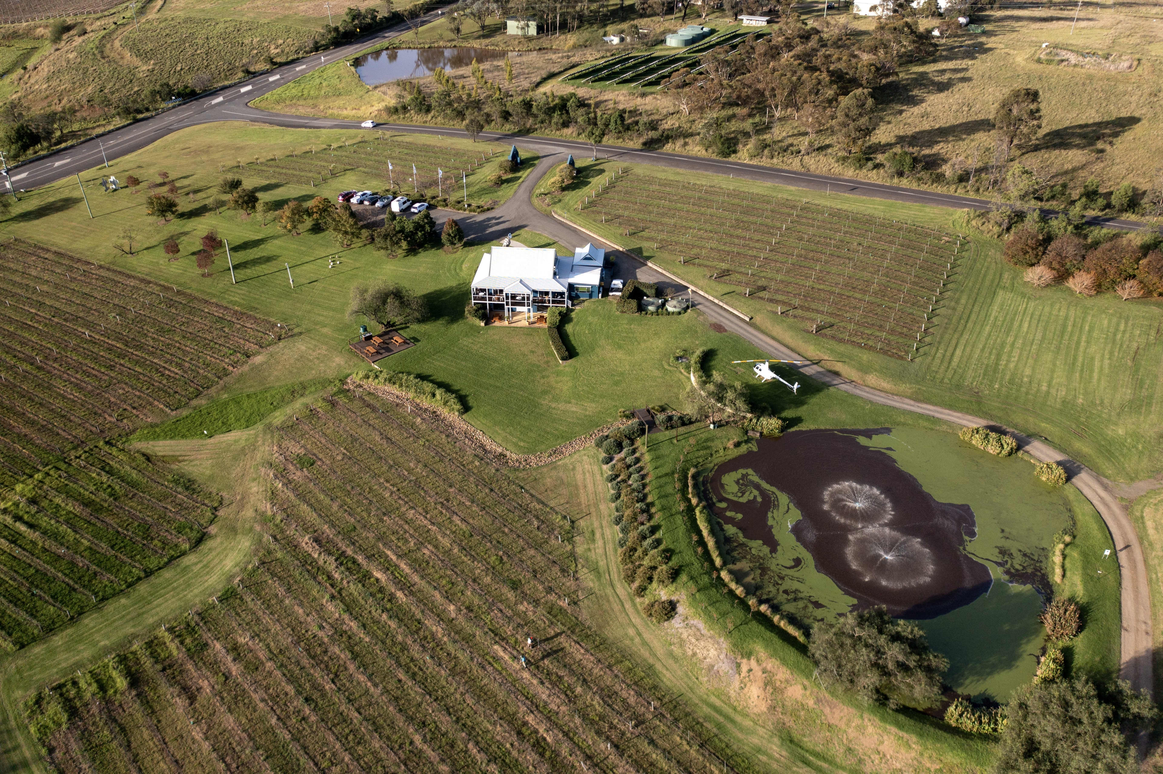 Aerial view of vineyards and winery in Hunter Valley