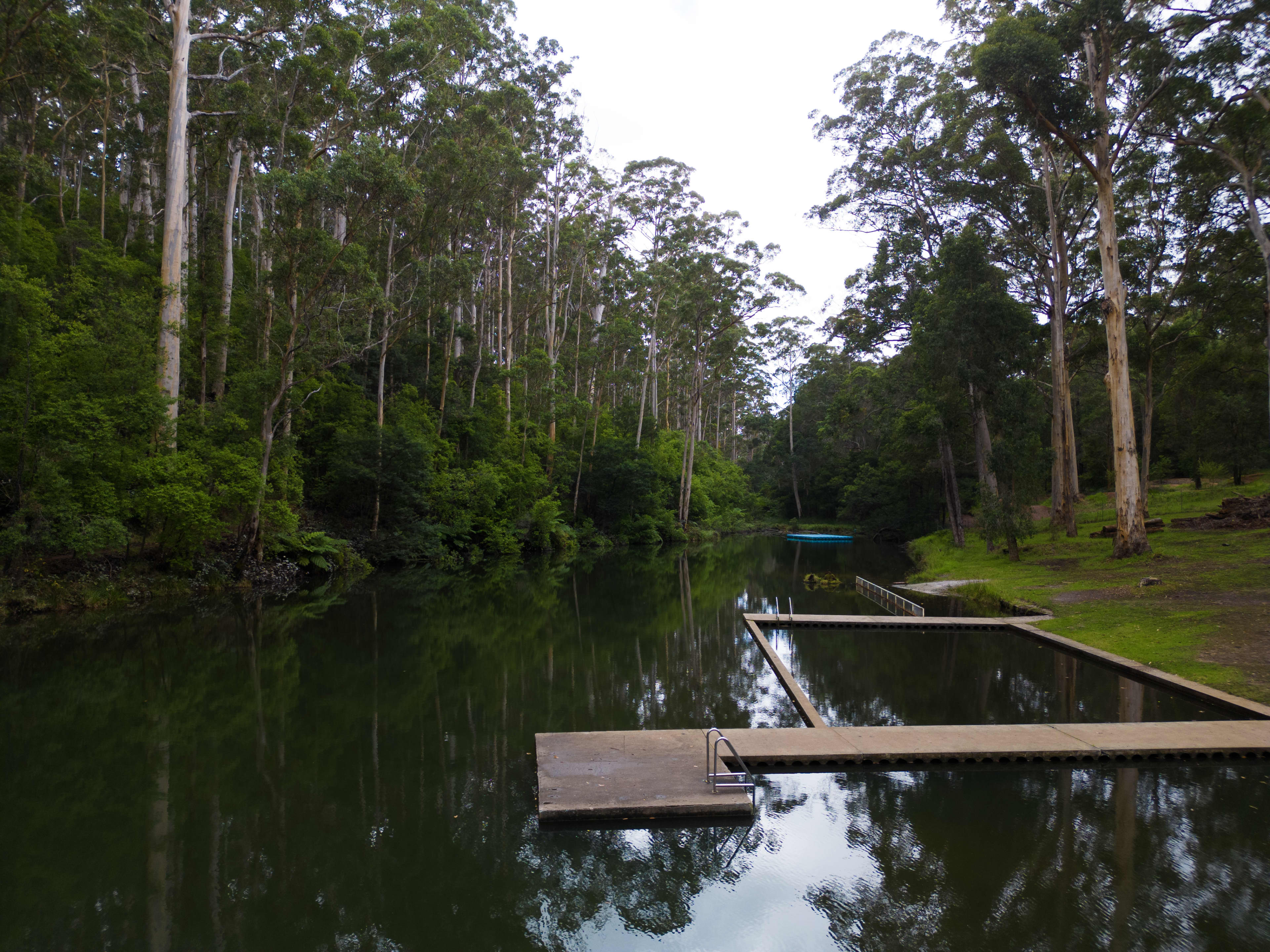 Lush green surrounds of Pemberton Pool with jetty and diving area into natural swimming pool surrounded by trees