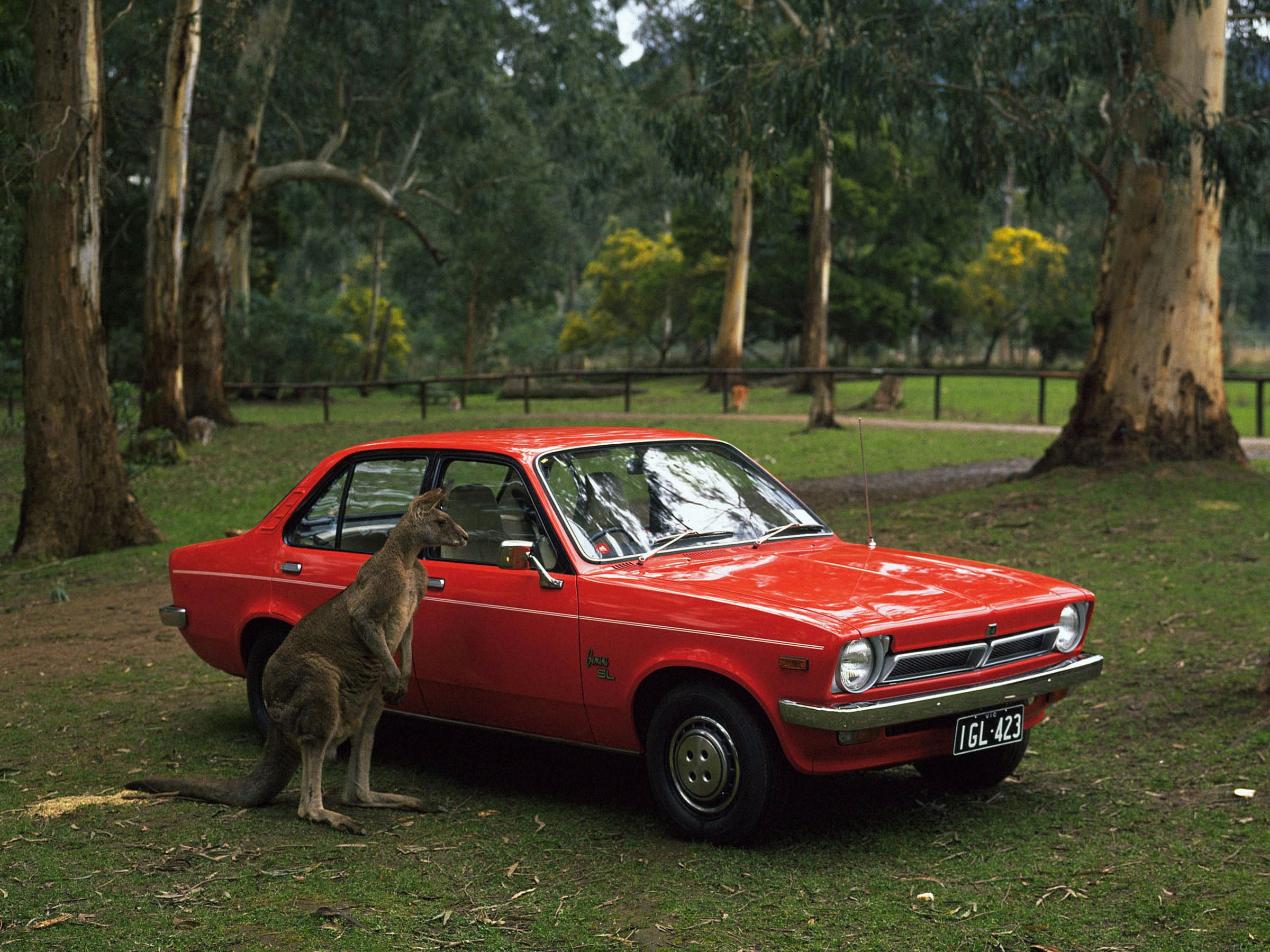 A red Holden Gemini in bushland with a kangaroo next to it