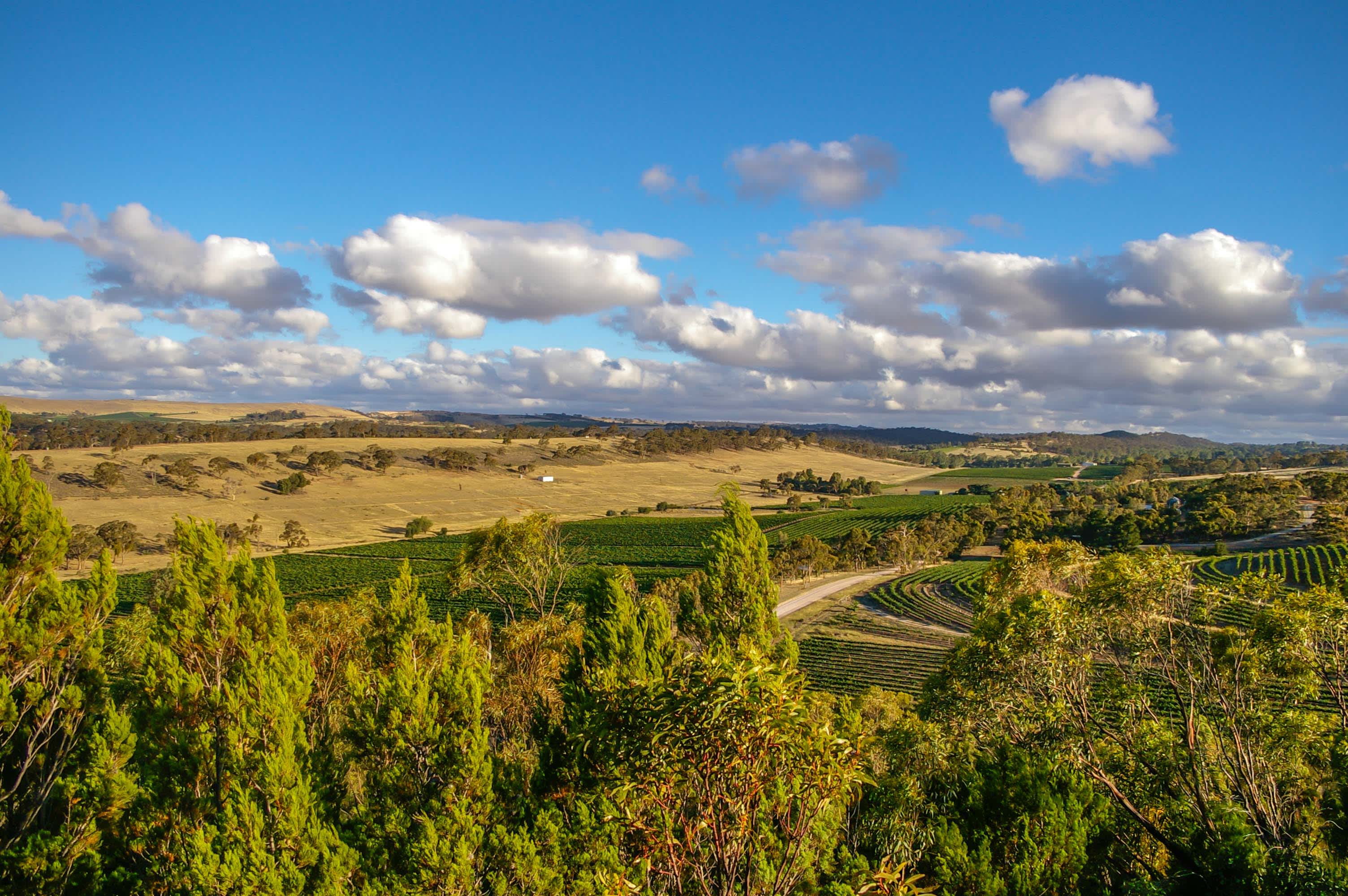 A view over the hills and vineyards of the Clare Valley