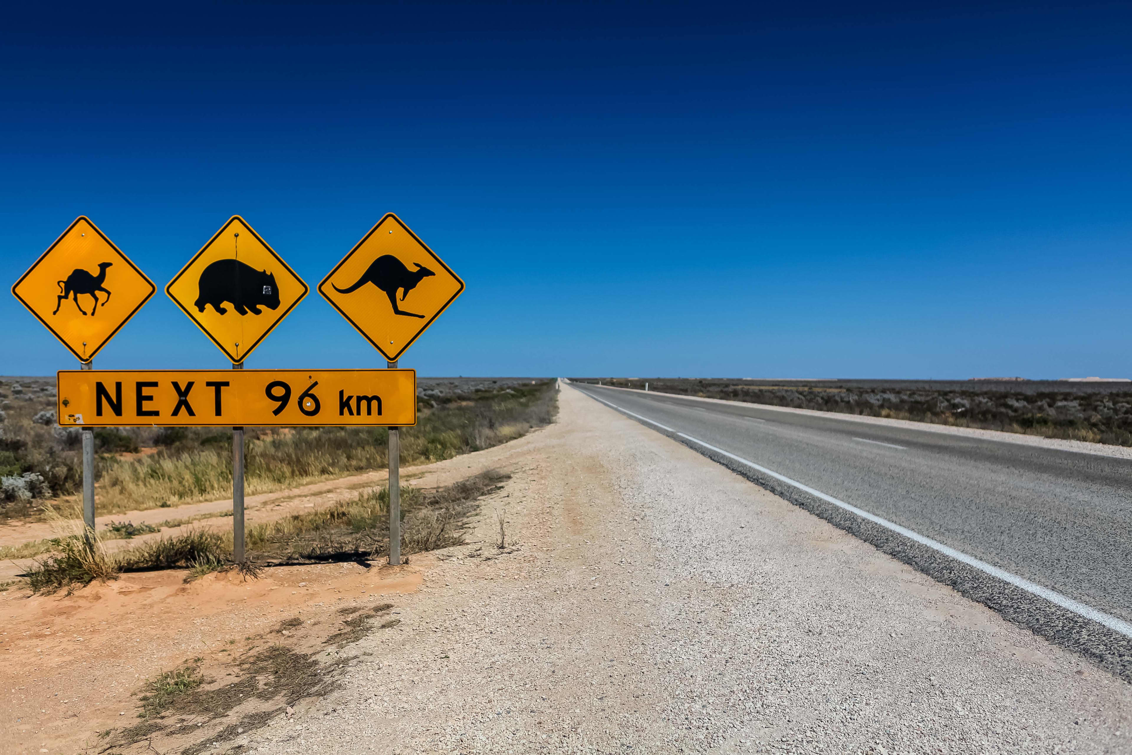 Iconic animal crossing signs on the Nullarbor