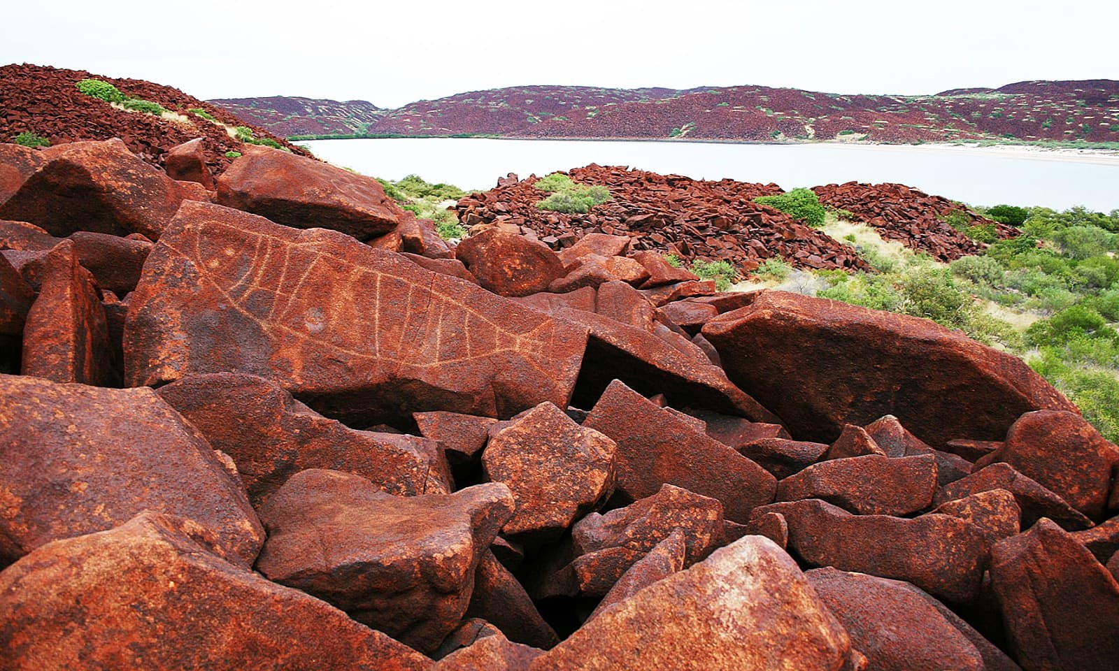 Rocks showing petroglyphs at Murujuga