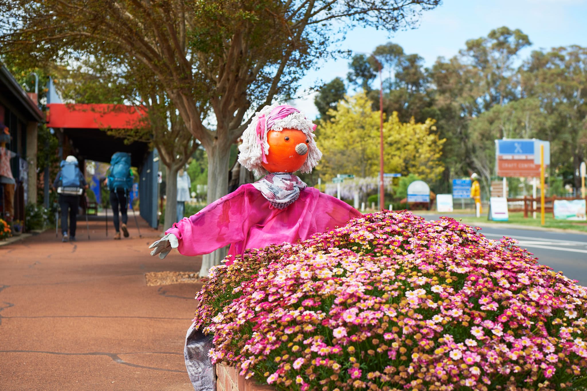 Country WA high street with pink scarecrow behind bush of pink daisies