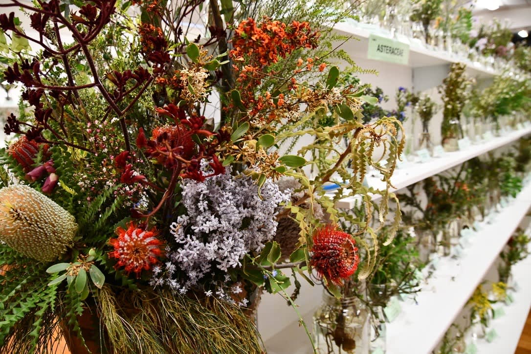 A bouquet of native wildflowers and shelves of flowers in jars