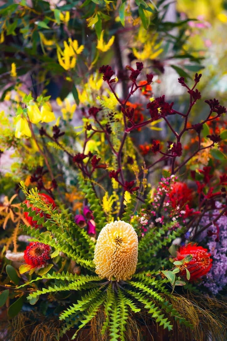 A beautiful bouquet of colourful flowers including banksia and kangaroo paw.