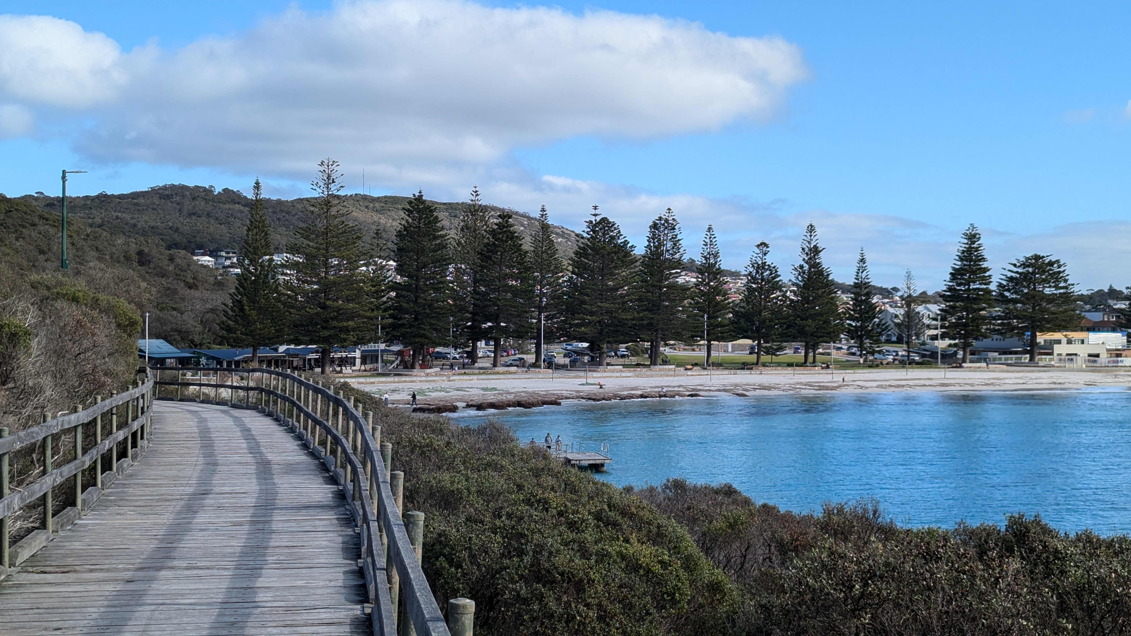 Boardwalk at Ellen Cove, Albany