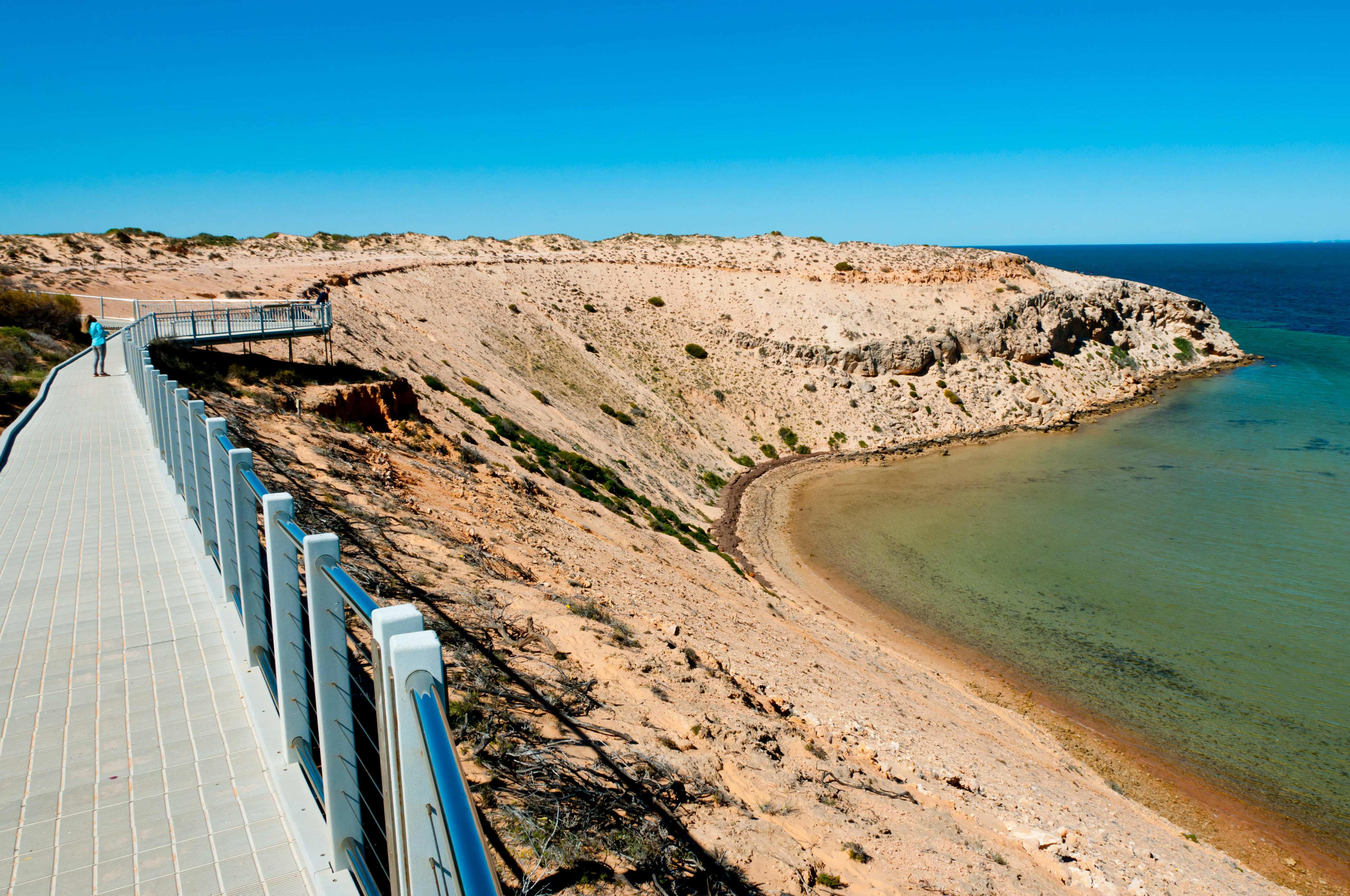 Coastal views from the Eagle Bluff boardwalk