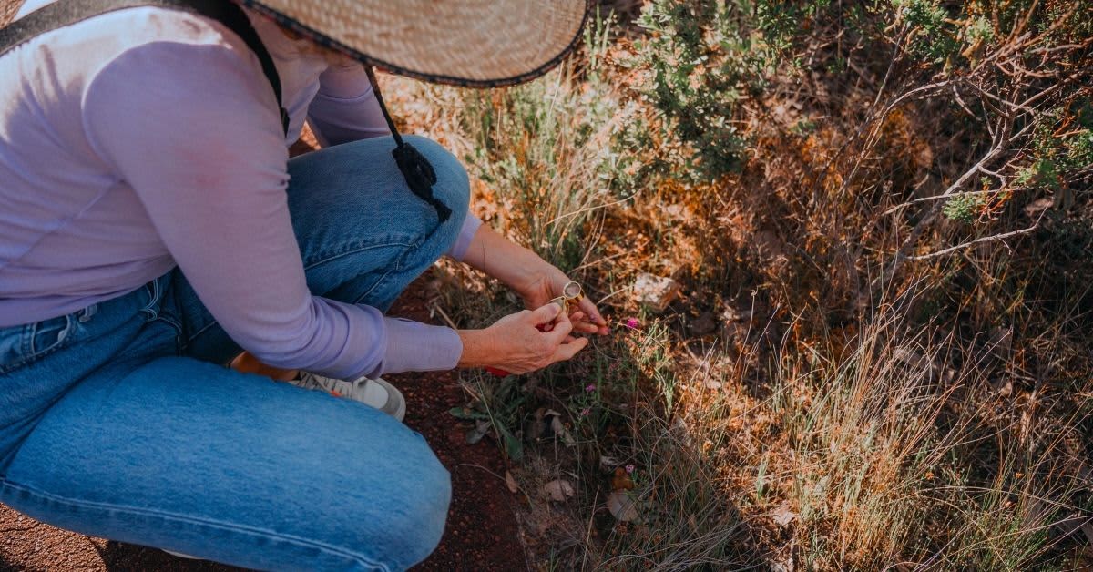 Woman bending over to look at wildflower up close in bushland