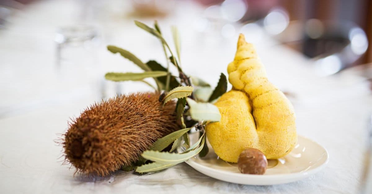Display of native wildflower and plate on long table