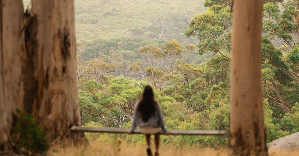 A woman sits on a bench between two tall trees overlooking the forest