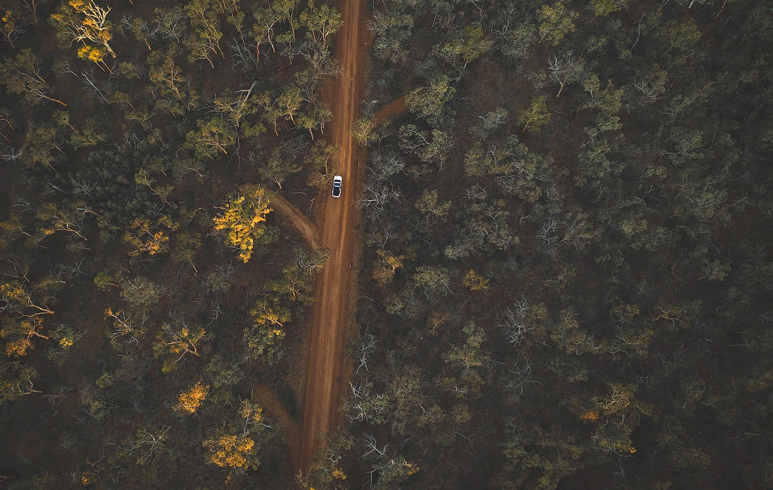 An aerial view of a car travelling on a track in the Dryandra Woodlands