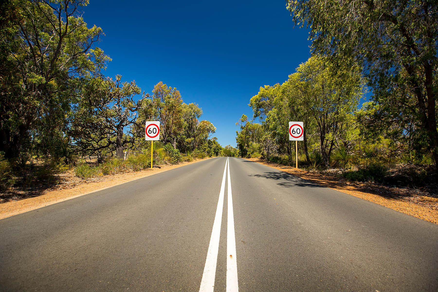 A country road with a 60km/h speed sign