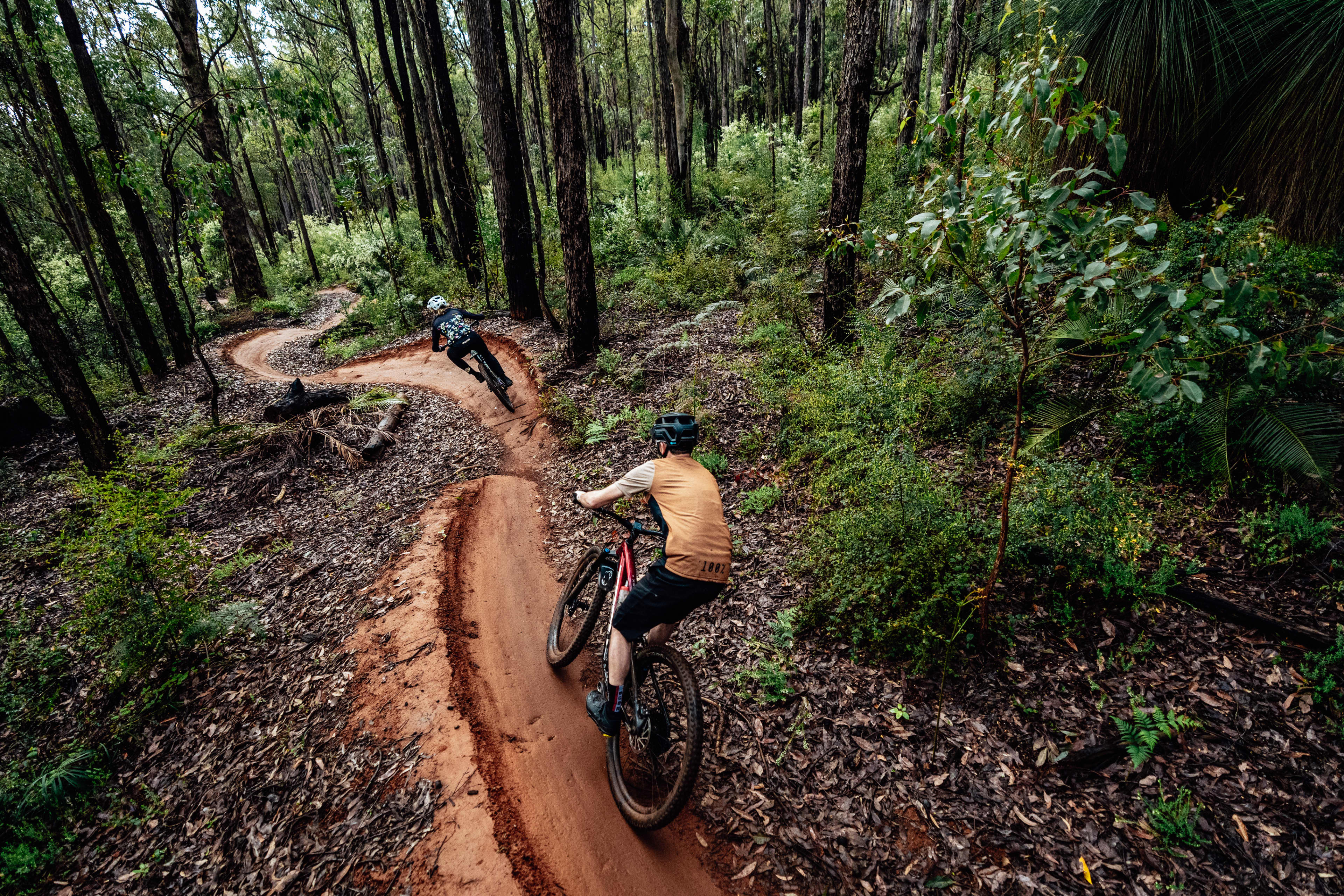 Person mountain biking through winding path in between tall forest trees