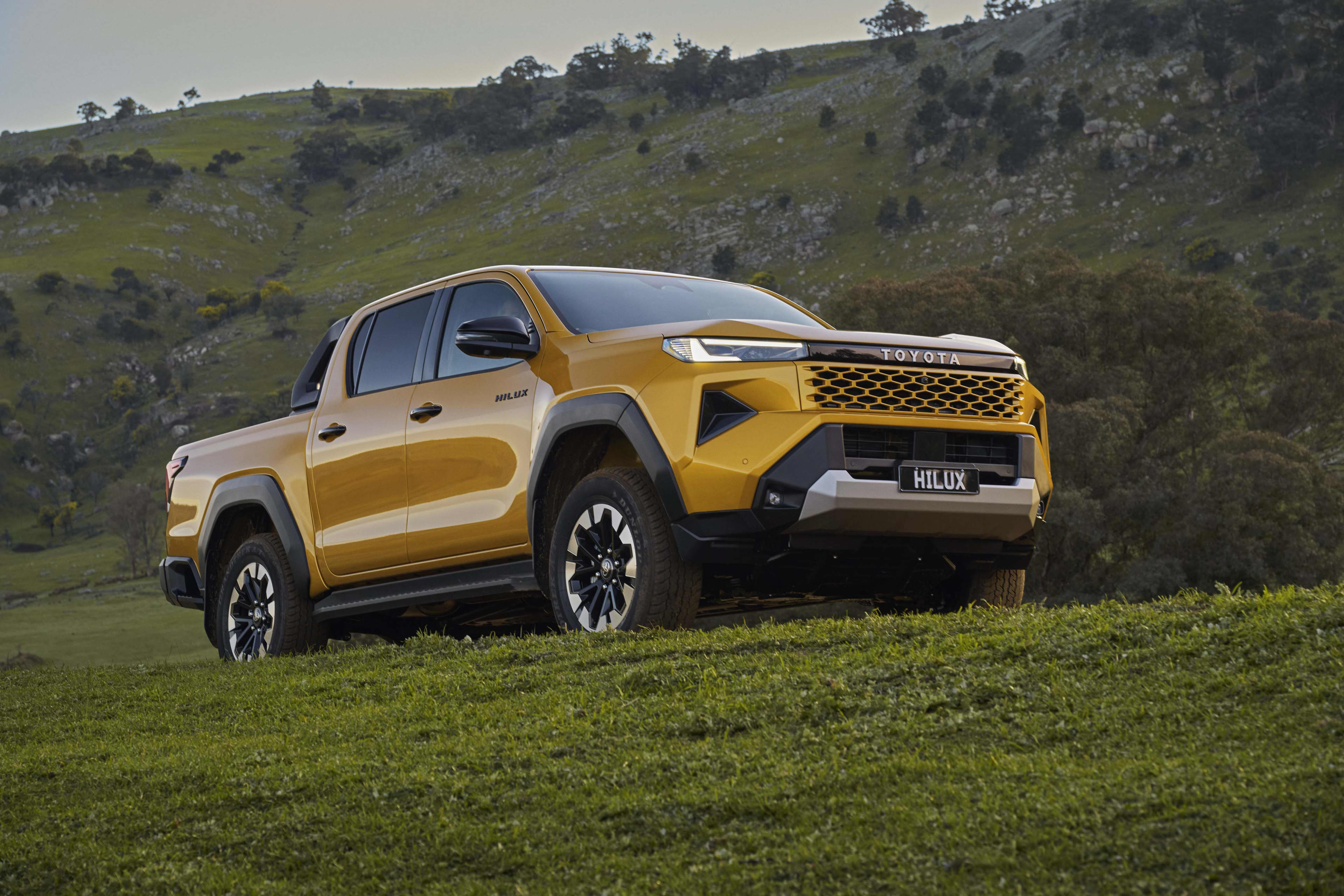 A gold-coloured Toyota HiLux parked in a green field
