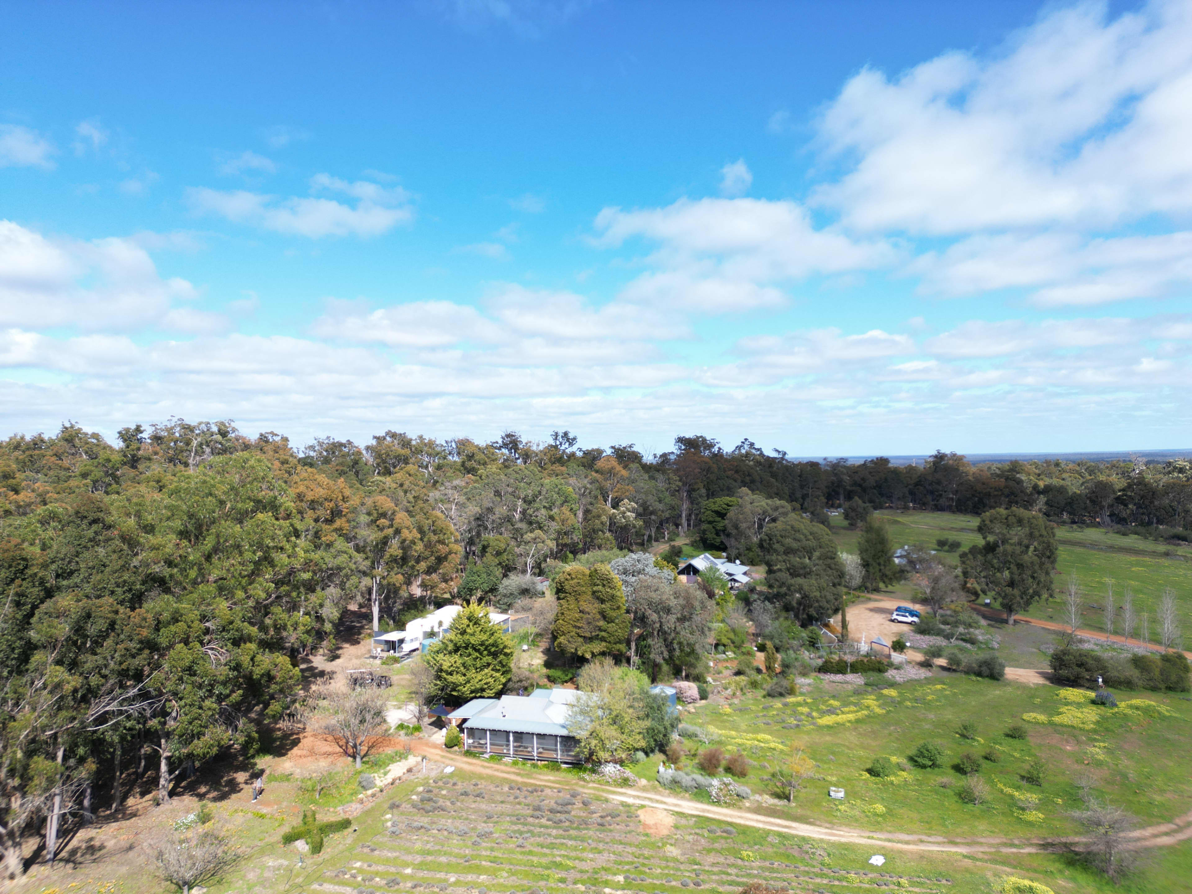 An aerial view of the Lavender Farm in Nannup
