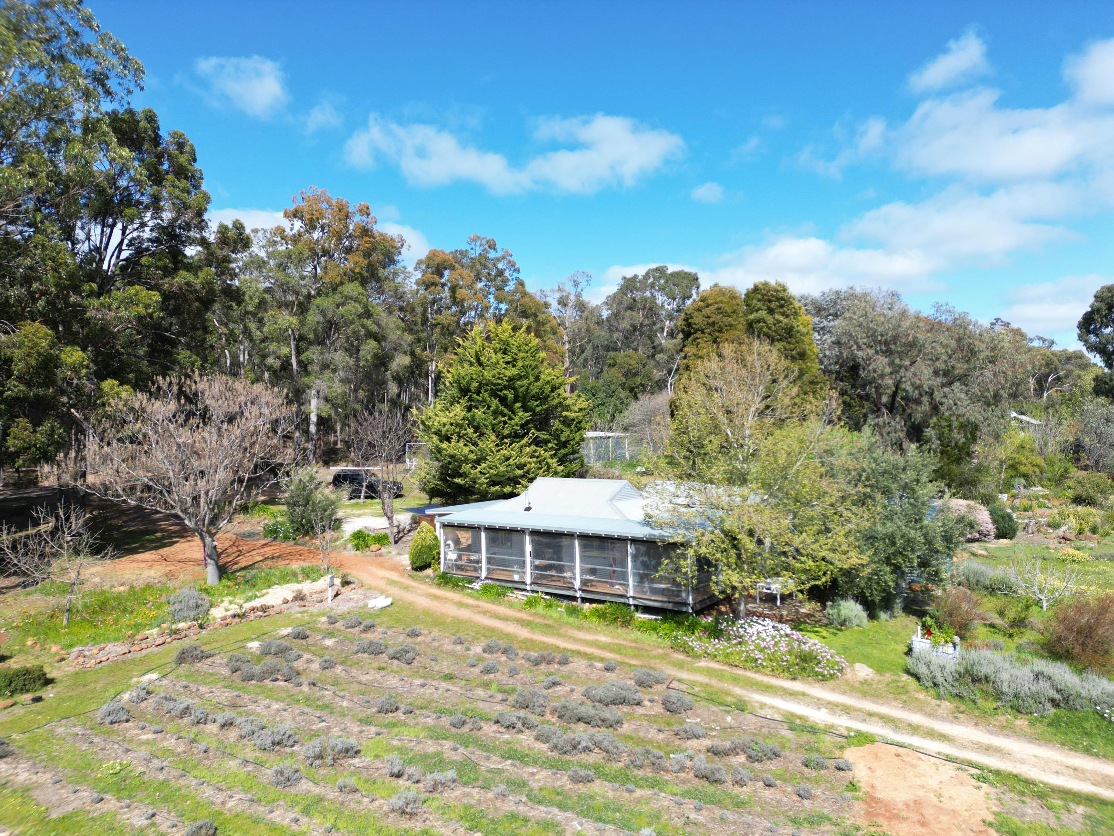 An aerial view of Nannup's Lavender Farm