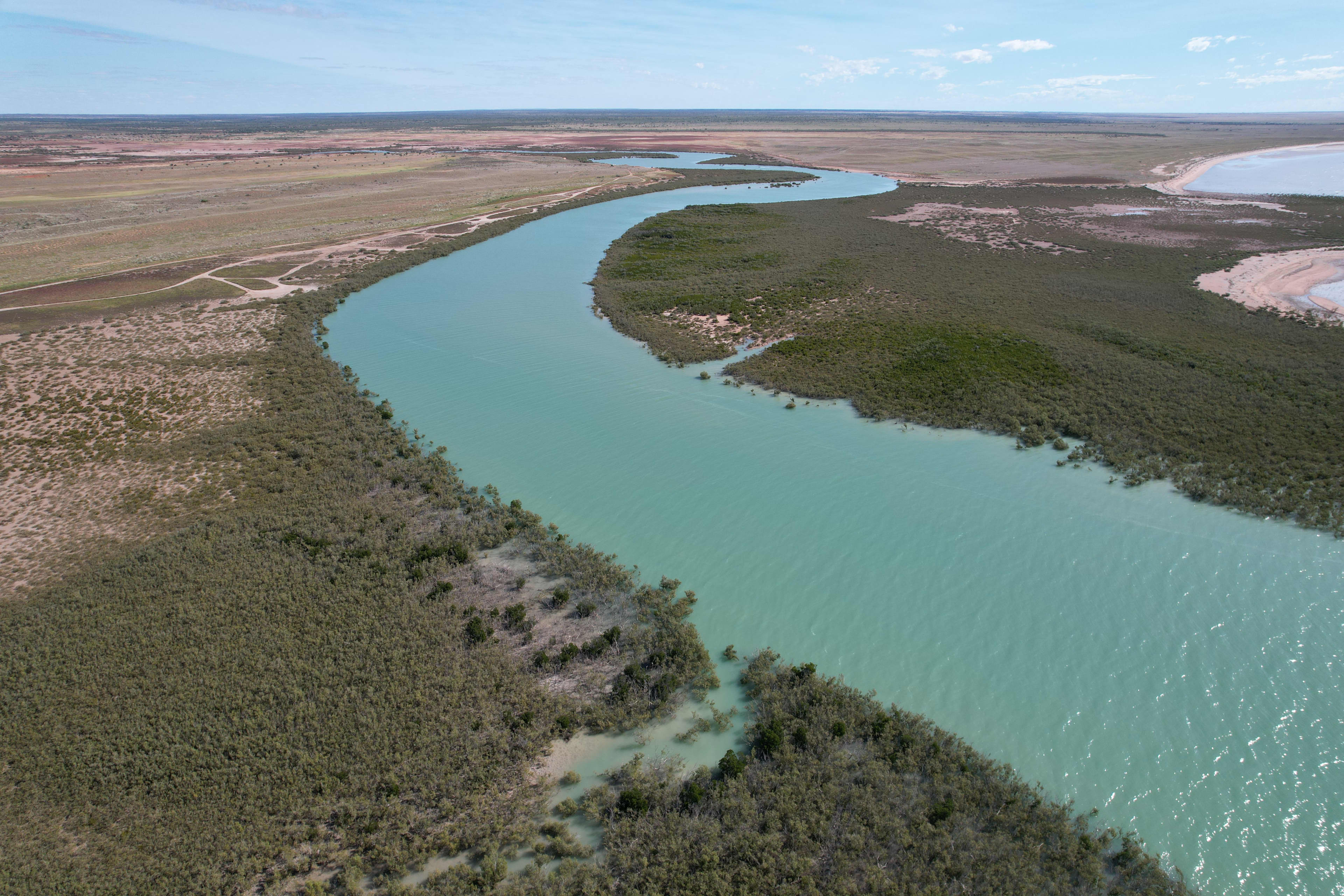 An aerial image of a blue tidal creek running through lush green vegetation