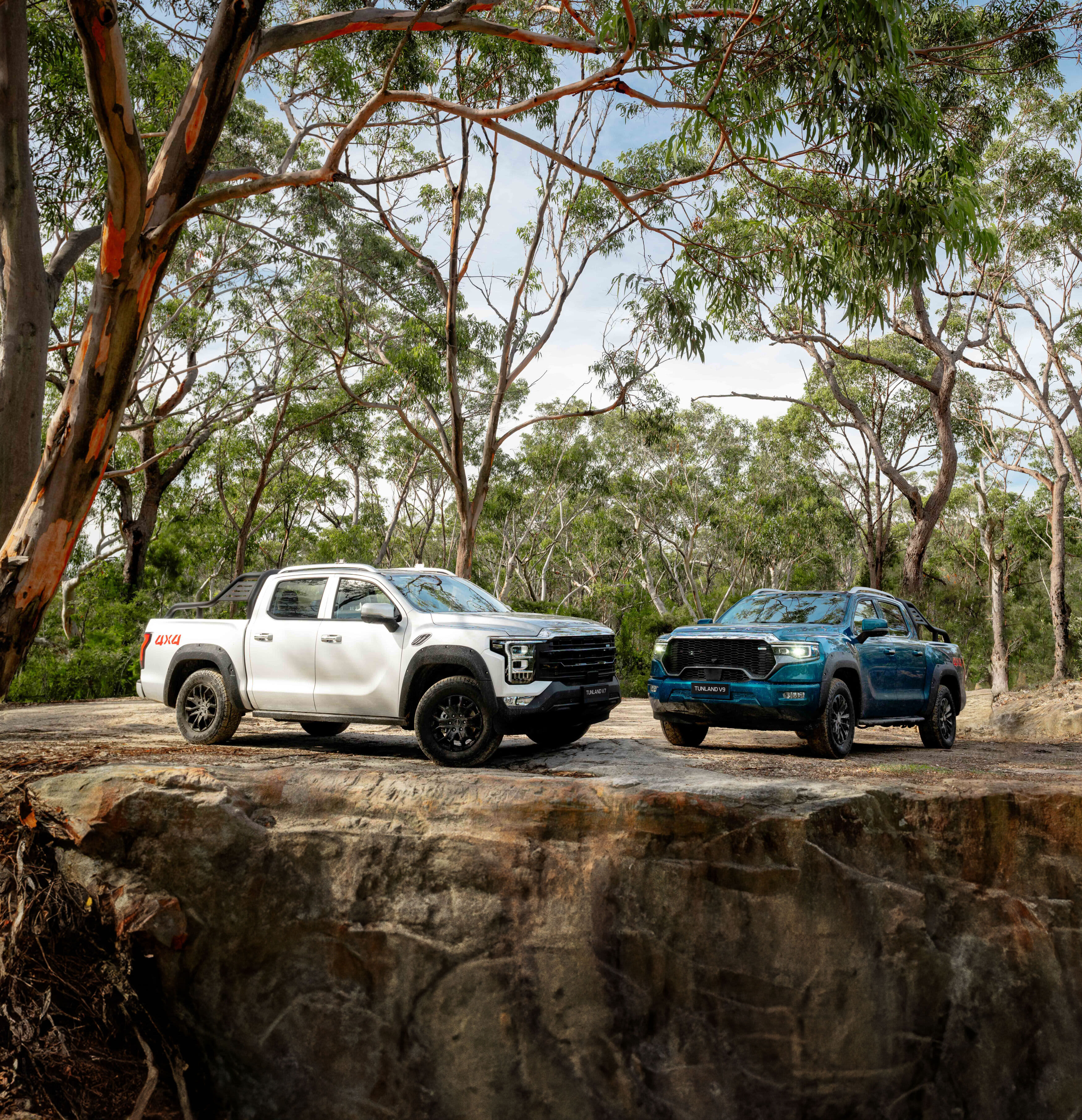 A white and a blue Foto Tunland ute parked under tall trees