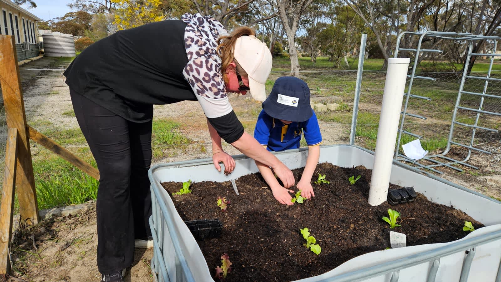 Women showing child how to plant a seedling in a planter box.