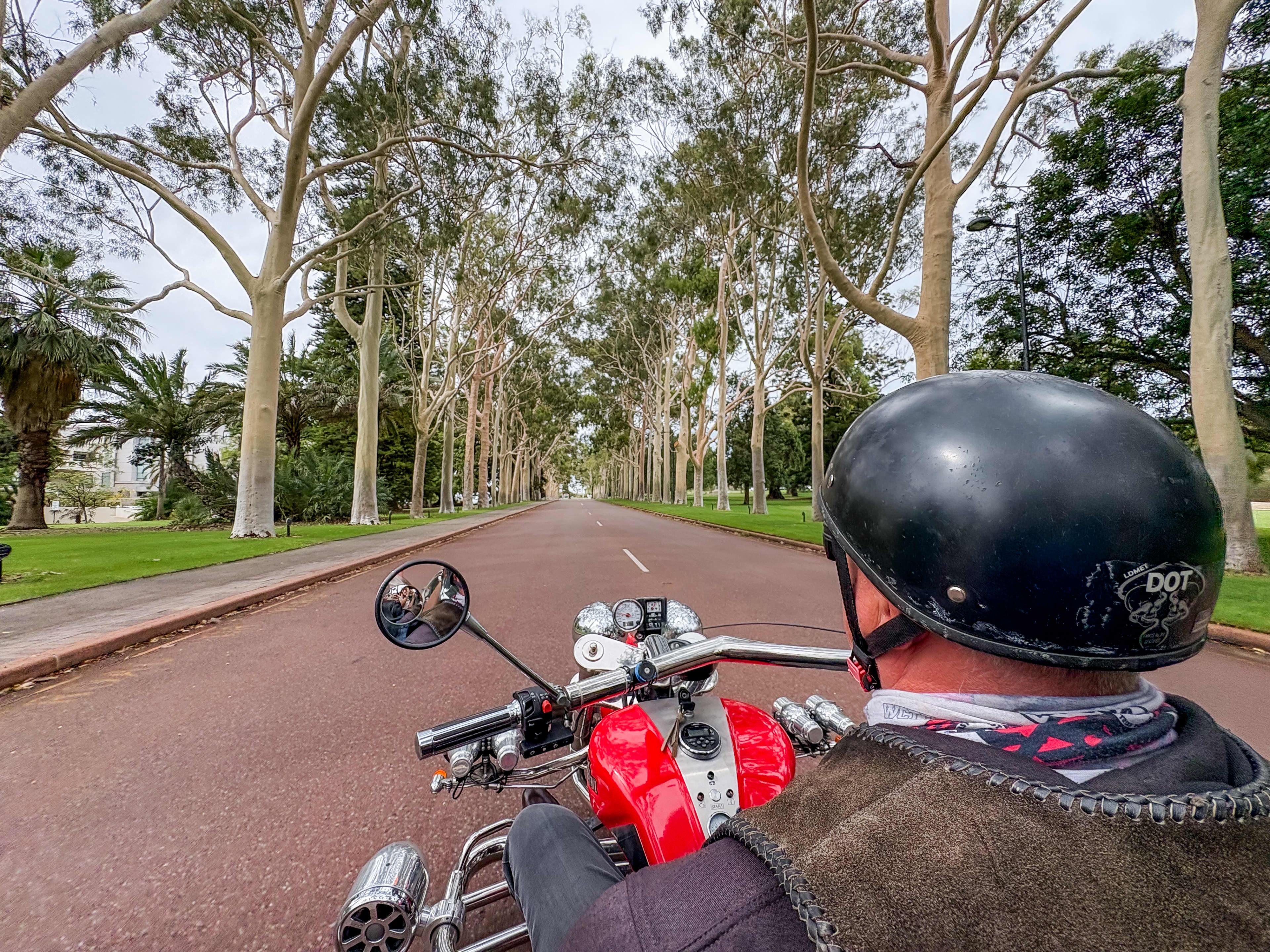 Point-of-view photo from behind a helmeted rider on a red motorcycle traveling down a straight, empty road lined with tall, pale-trunked trees on both sides, creating a symmetrical, park-like avenue under an overcast sky.