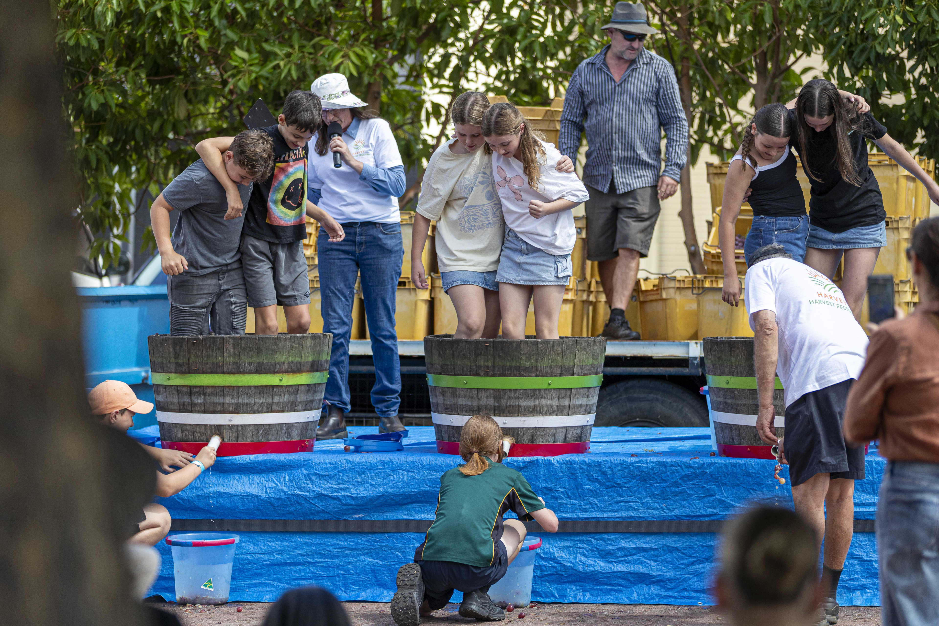 Children and adults take part in a grape-stomping activity at an outdoor event. Several children stand barefoot inside large wooden barrels, some with arms around each other for balance, while adults supervise nearby. A person with a microphone appears to guide the activity. Buckets, a blue tarp-covered platform, and stacked crates are visible, with trees and onlookers in the background.