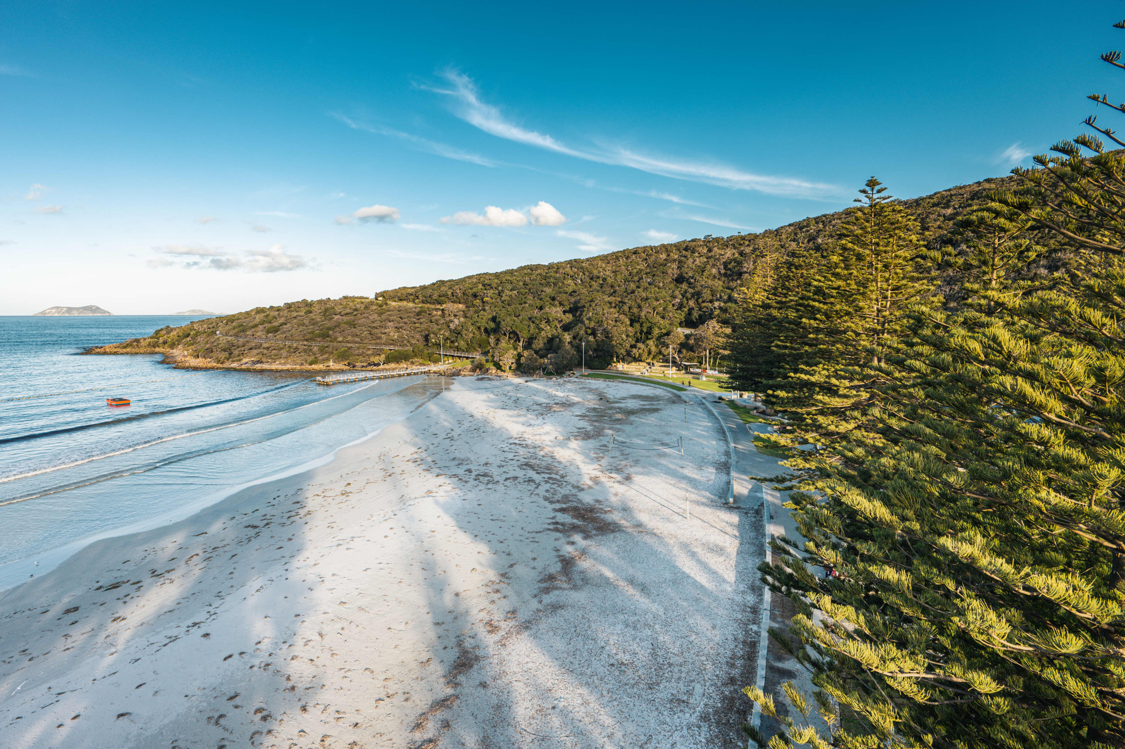 view of pine trees, sand and blue water of Middleton Beach with clear blue sky