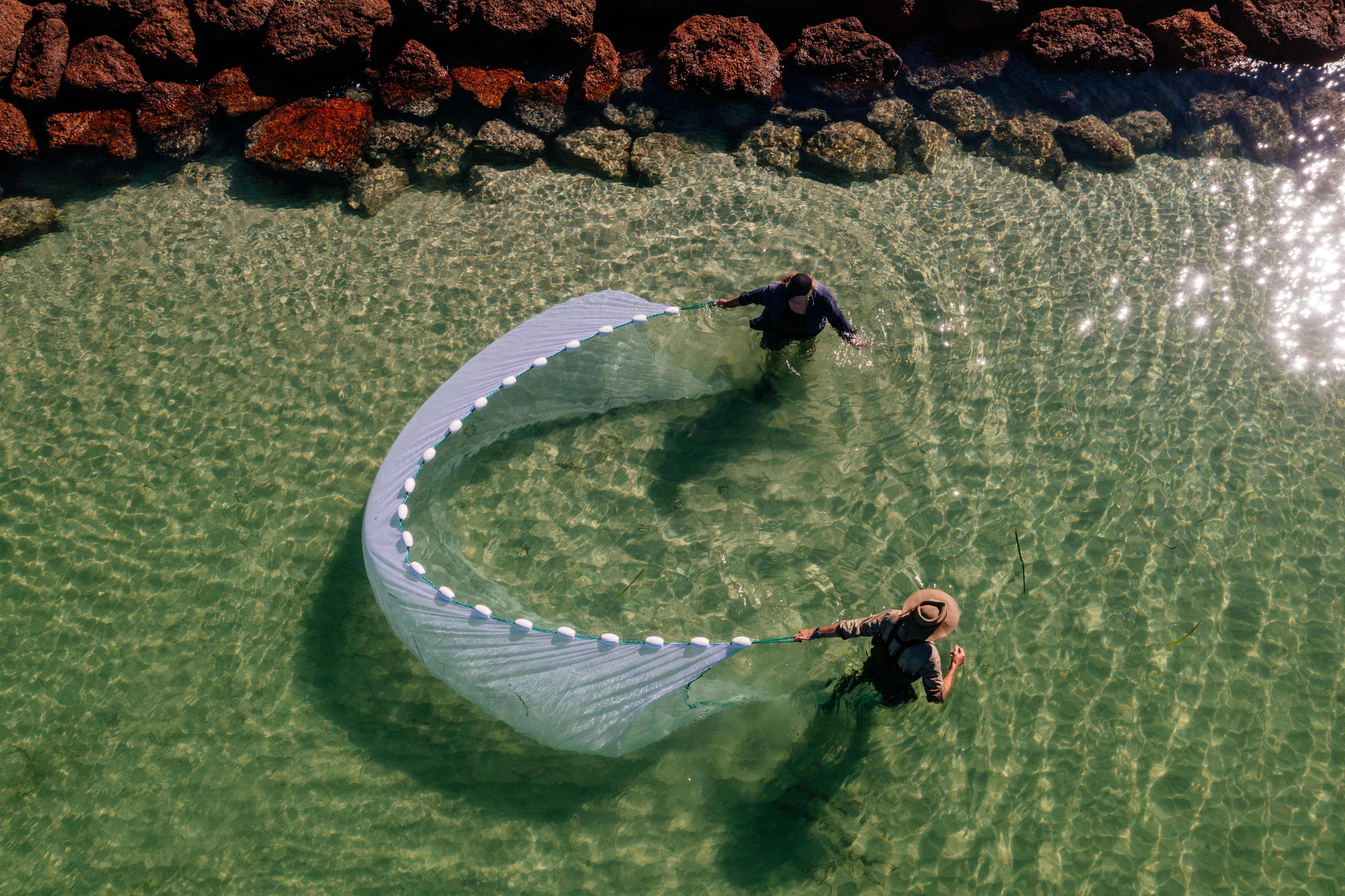 Two people wading in water near rocks holding fabric between eachother