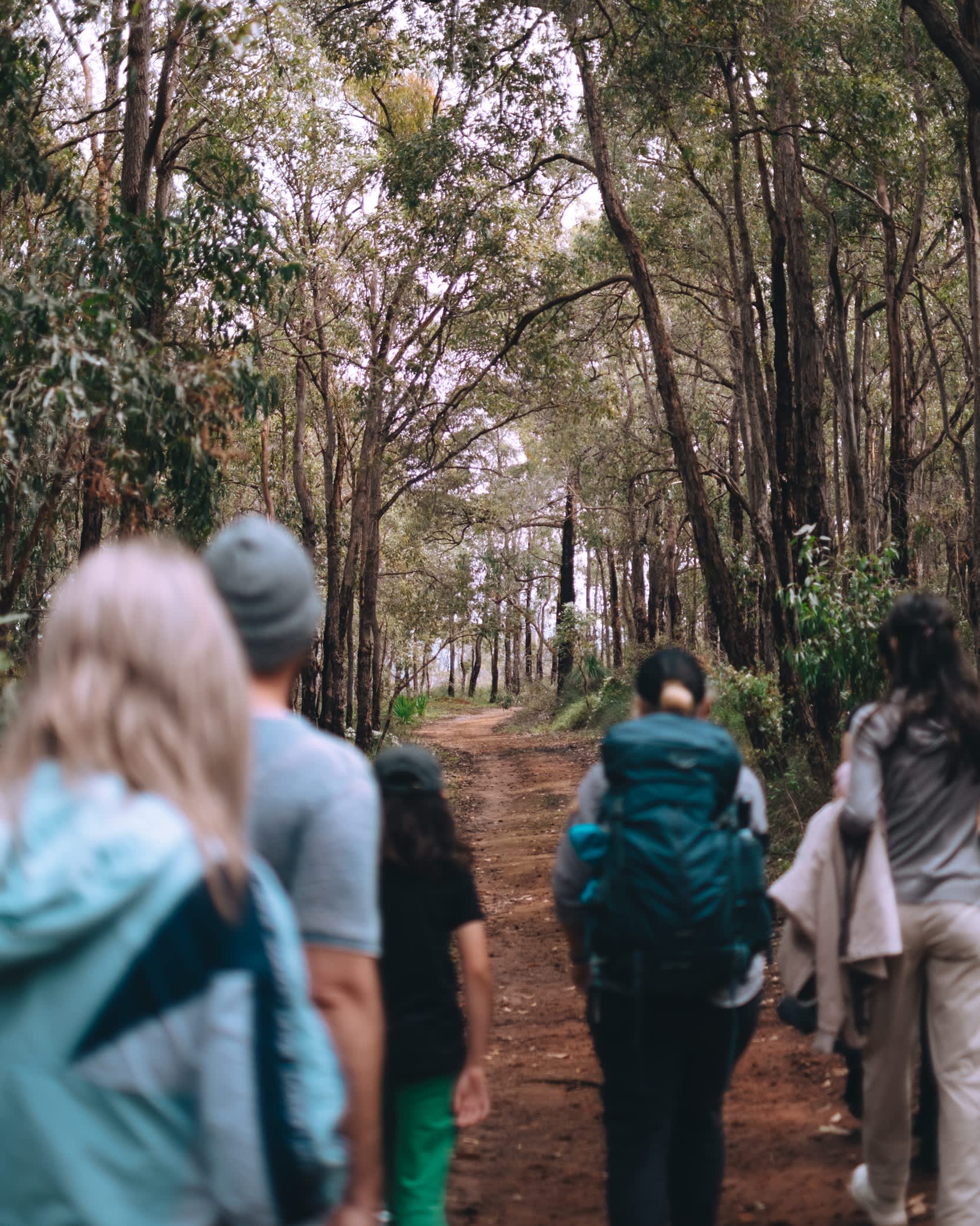 A small group of people, including adults and a child, walk away from the camera along a dirt trail through a tall, leafy forest, some carrying backpacks and jackets.