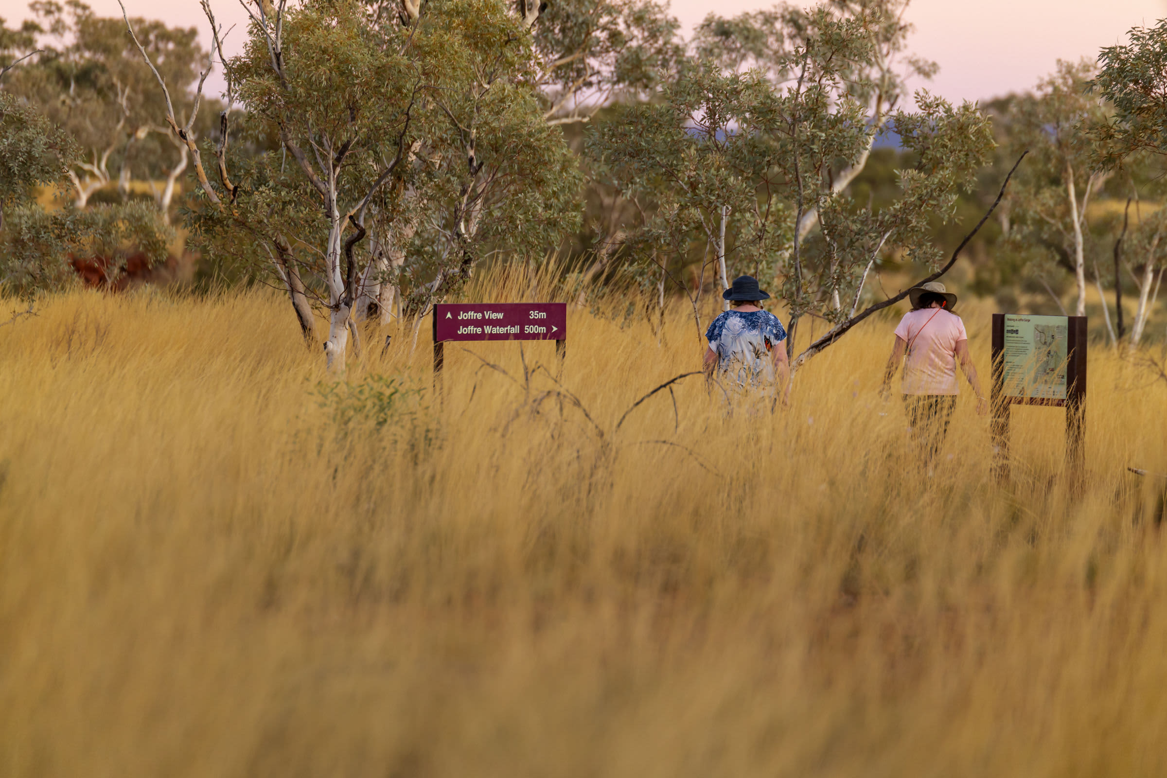 Two ladies wearing brimmed hats walking with golden terrain and an information sign for 'Joffre Waterfall'.