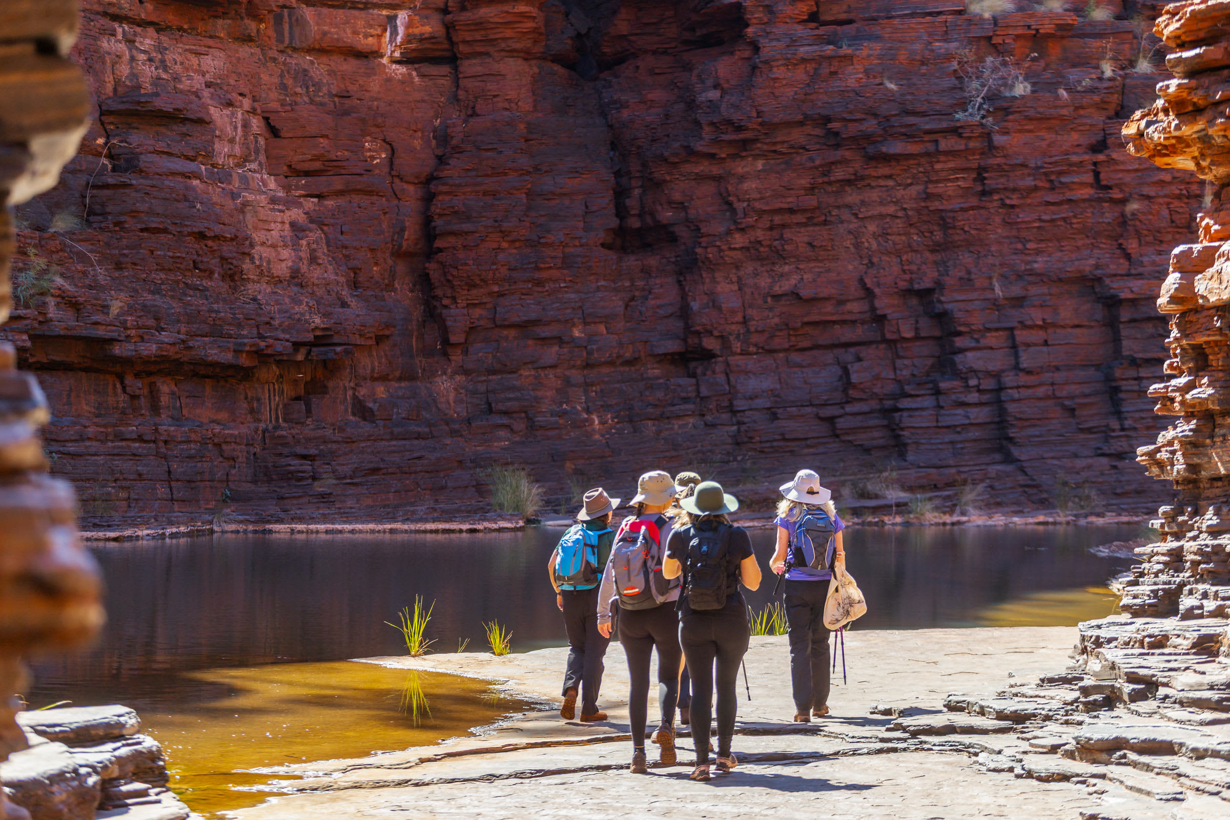 A group of five ladies in hiking gear walking in the depth of a crimson gorge with a watering hole.