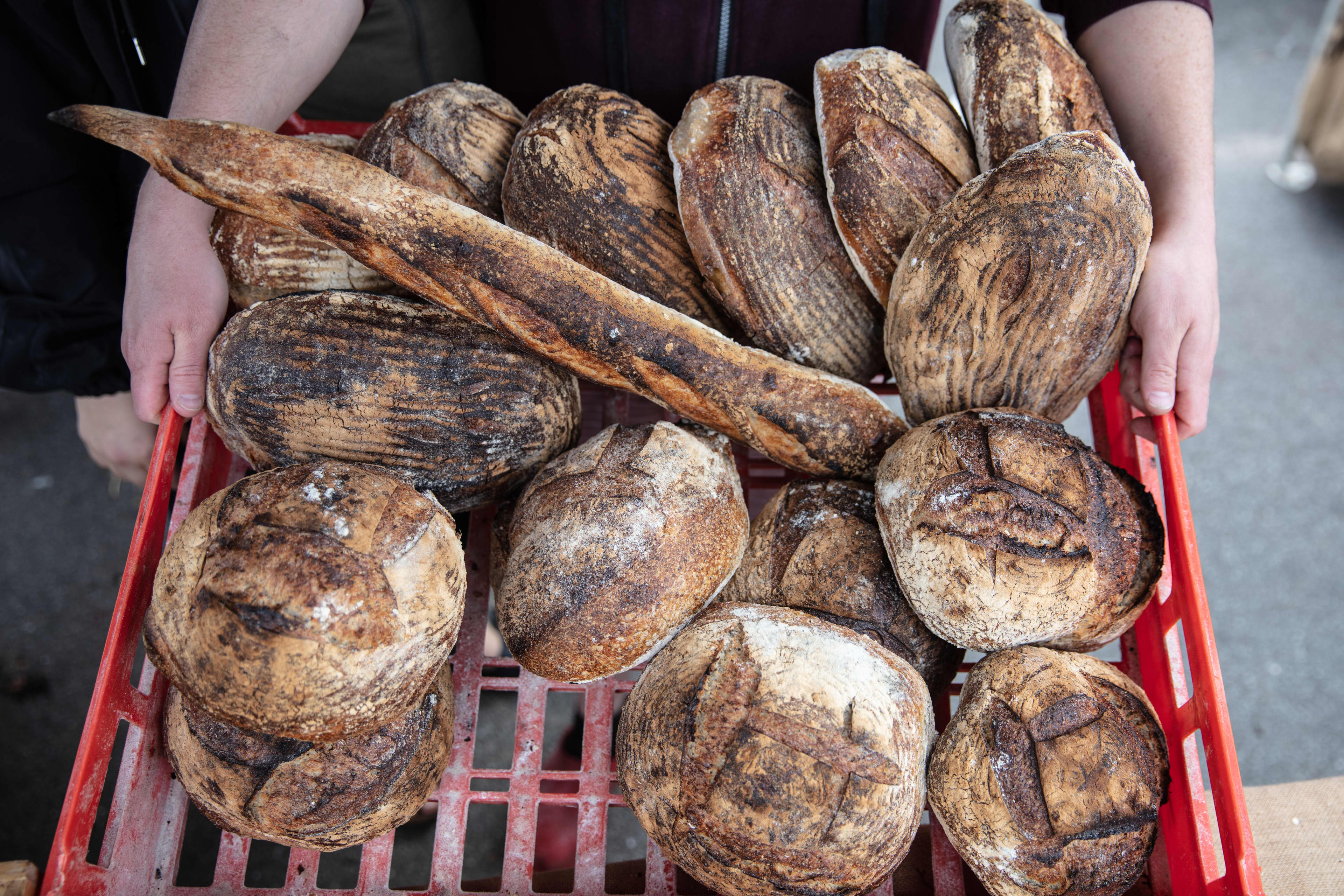 An image of various loaves of bread sitting in a red crate.