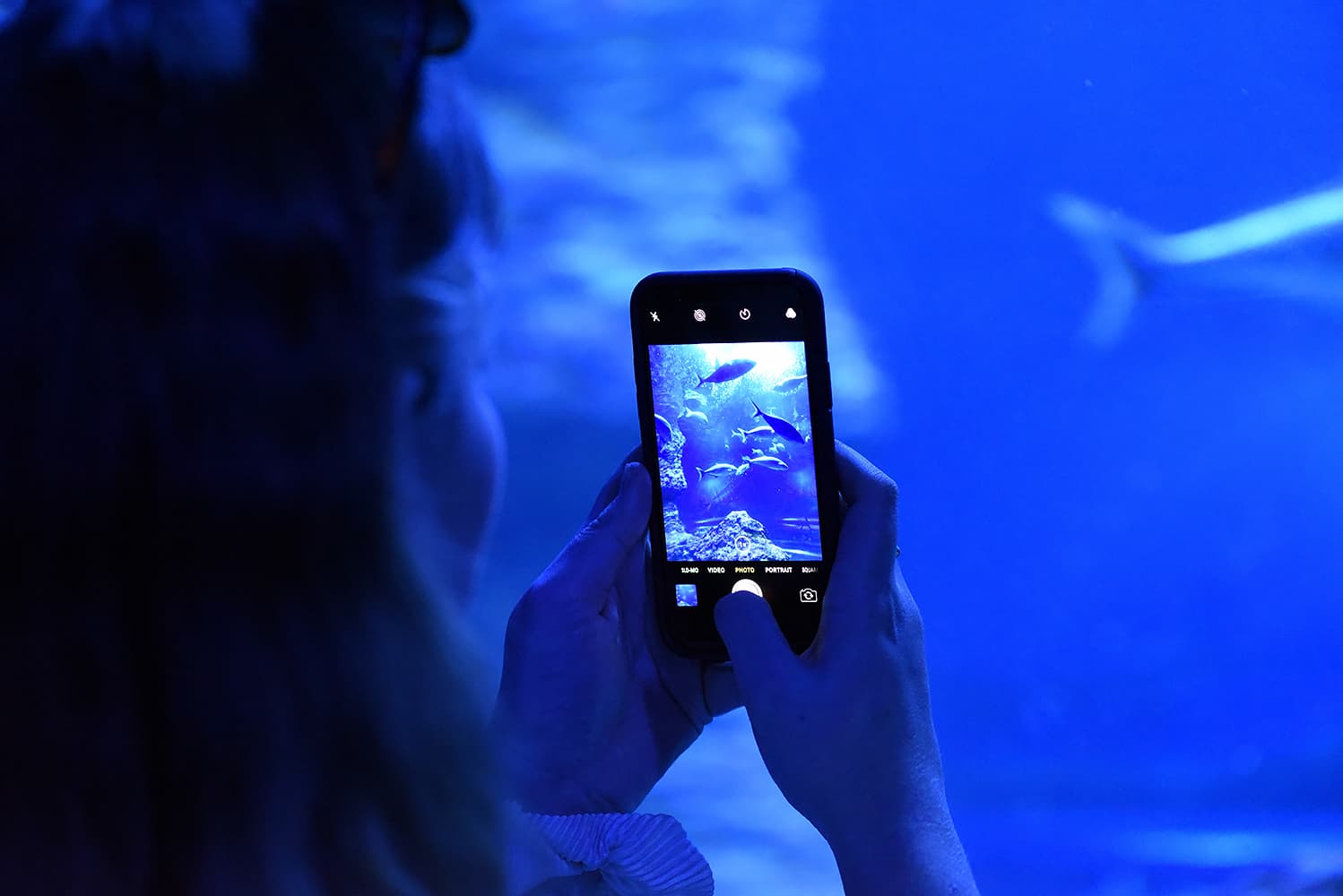 A person is holding up a mobile phone in front of a large aquarium
