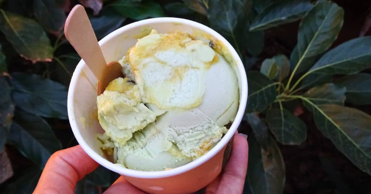Bowl of avocado icecream on table with leafy background.