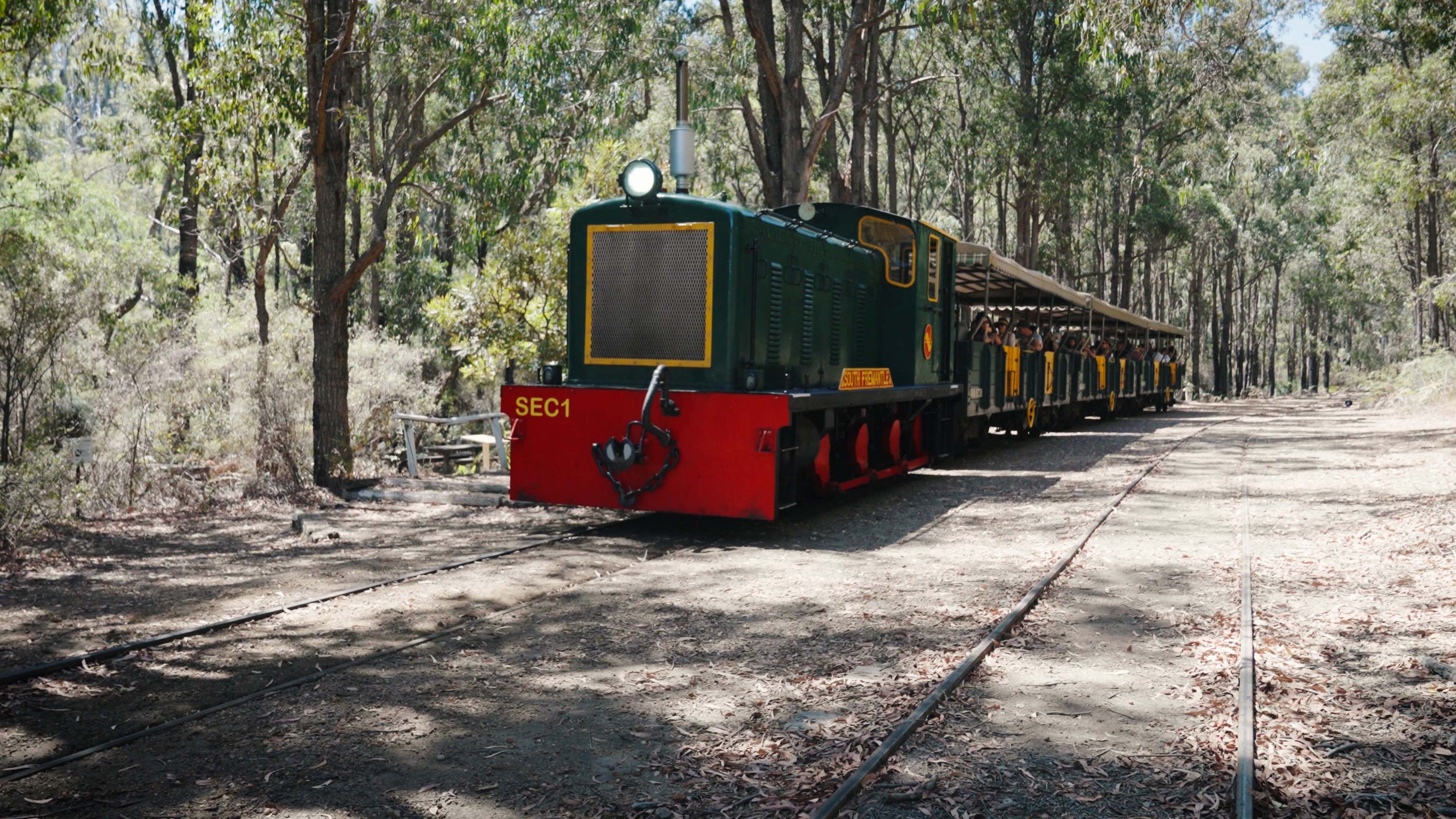 The Hotham Valley Train in the forest in Dwellingup