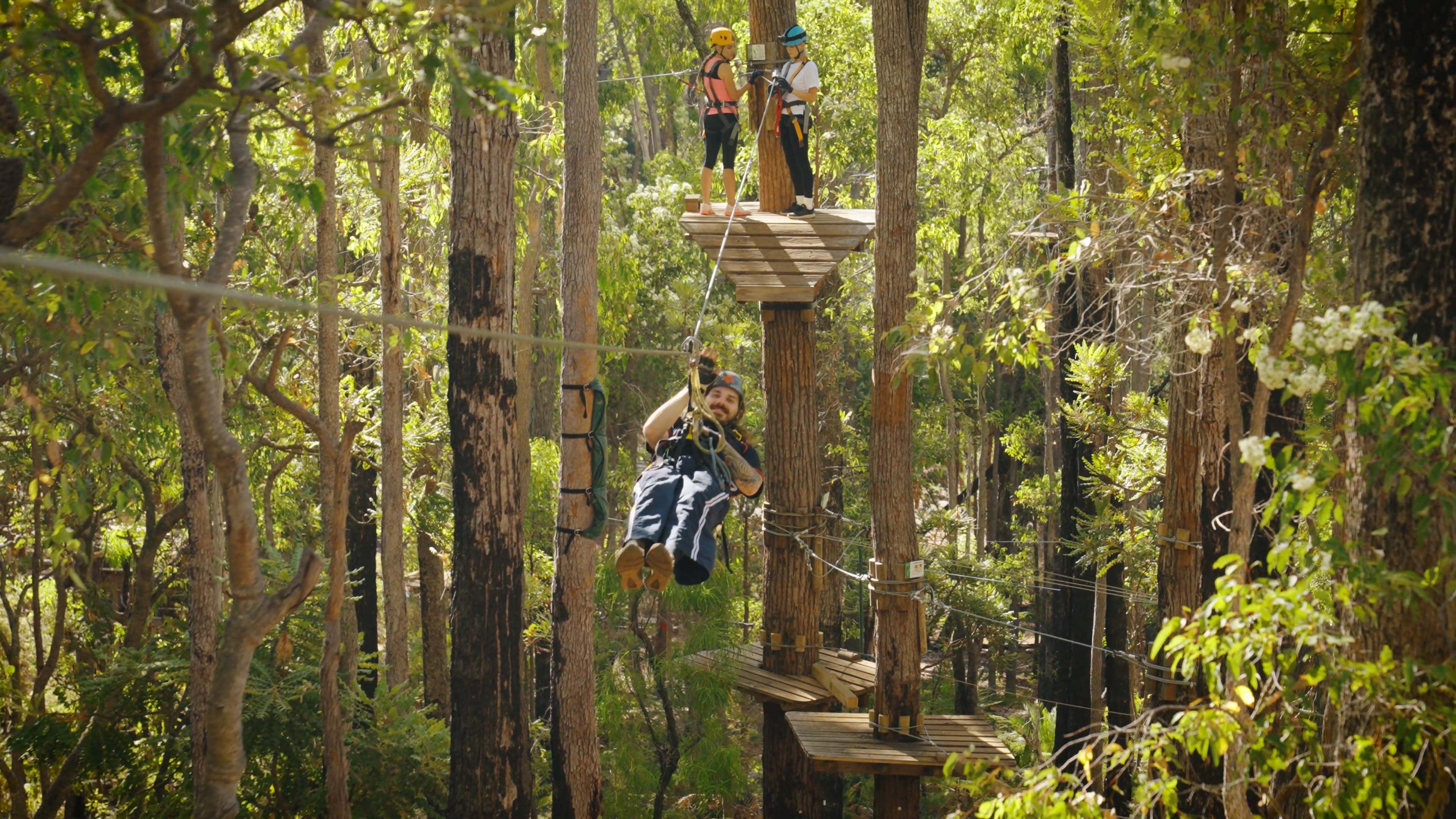 A person rides a zipline through tall trees