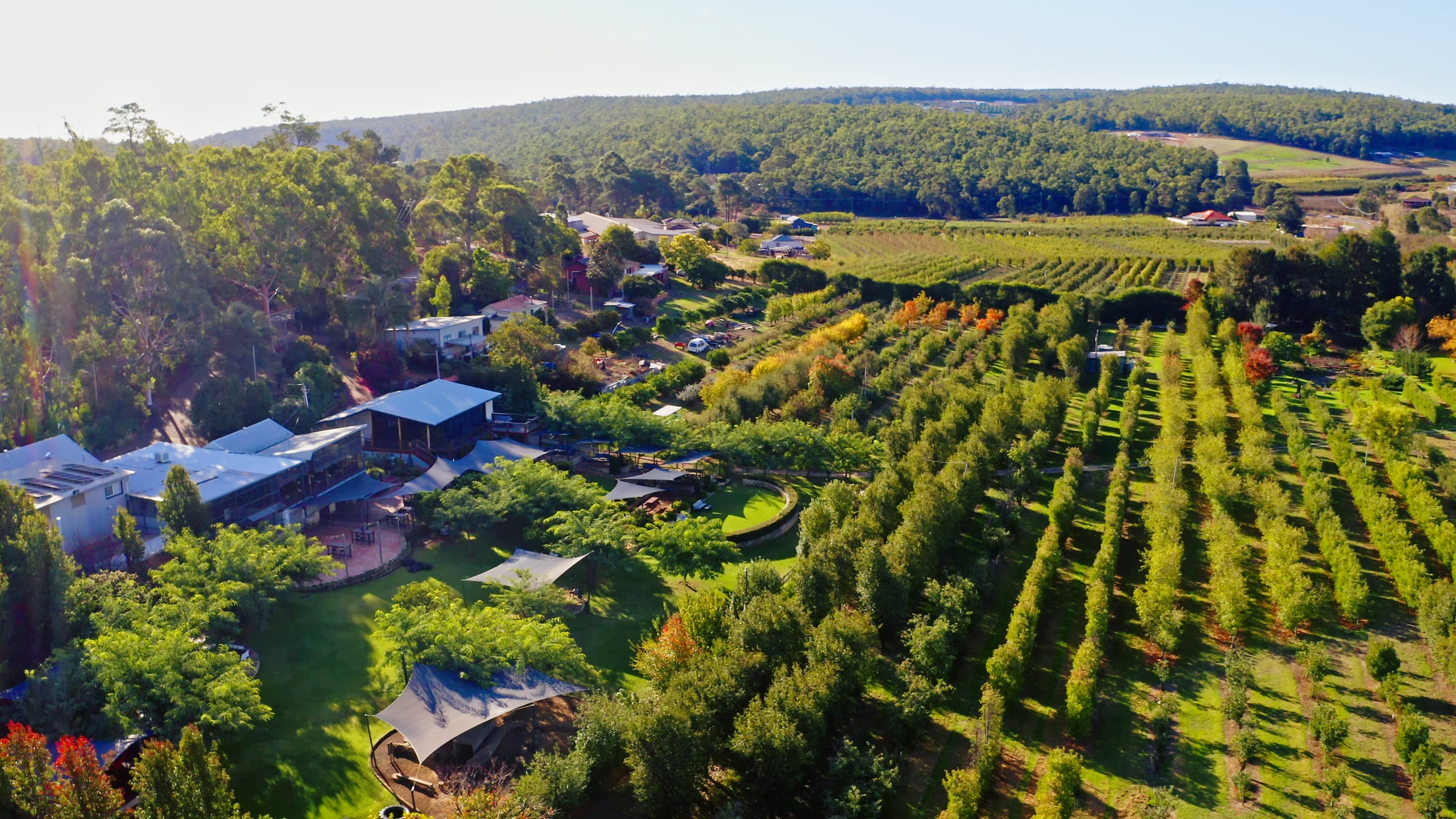 An aerial view of lush grass and lines of orchard trees, featuring a shed venue and undercover seating area.
