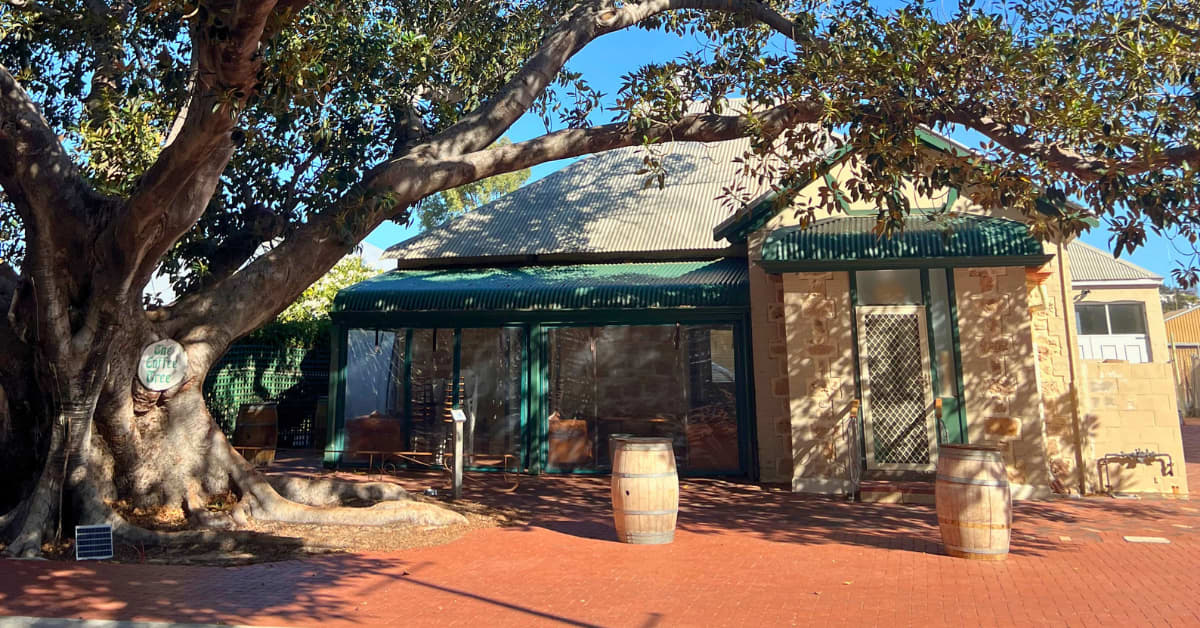 Old building with leafy trees and light brick exterior
